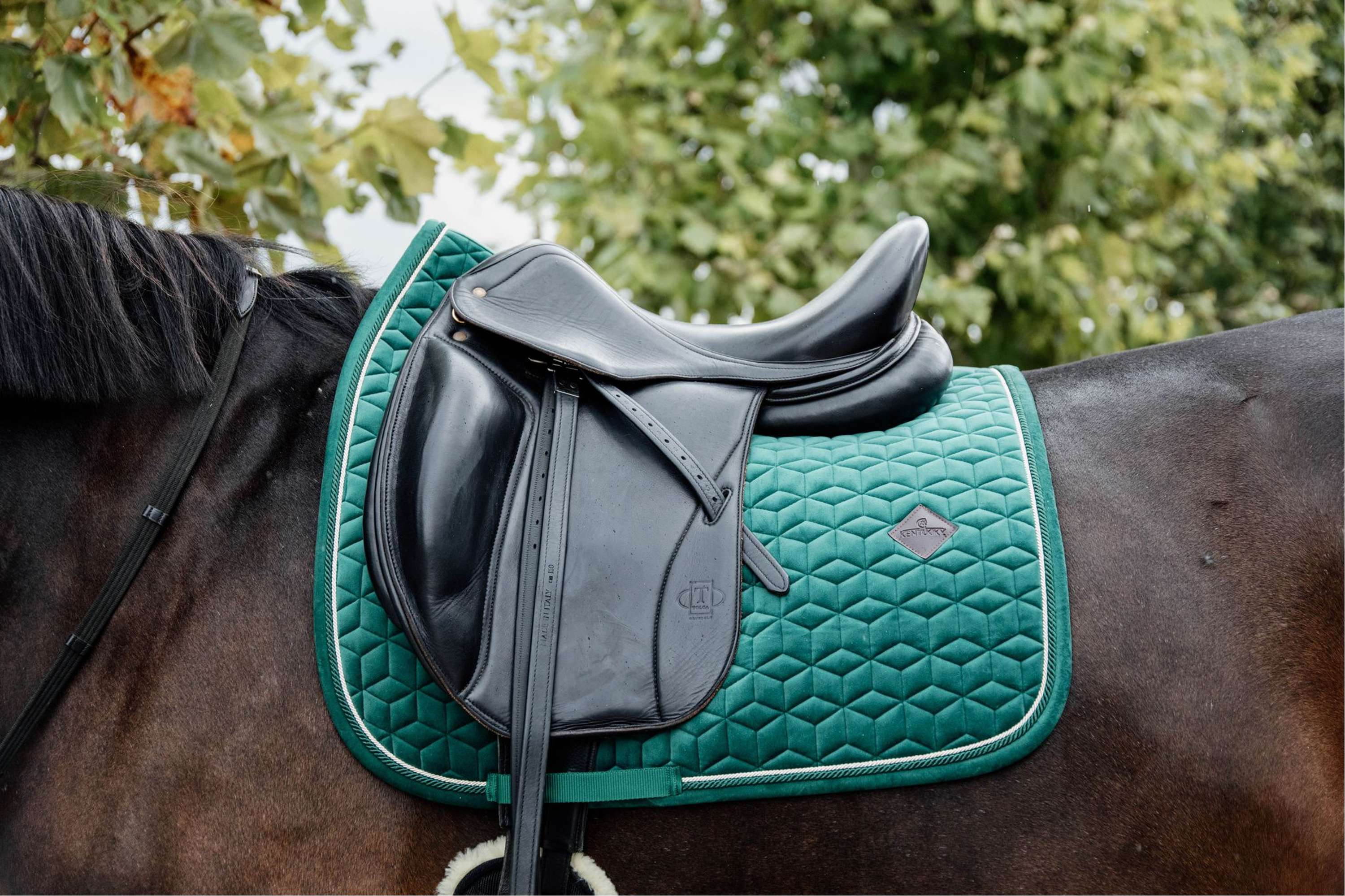 Kentucky Tapis de Selle Velvet Dressage Vert Foncé - Image 2