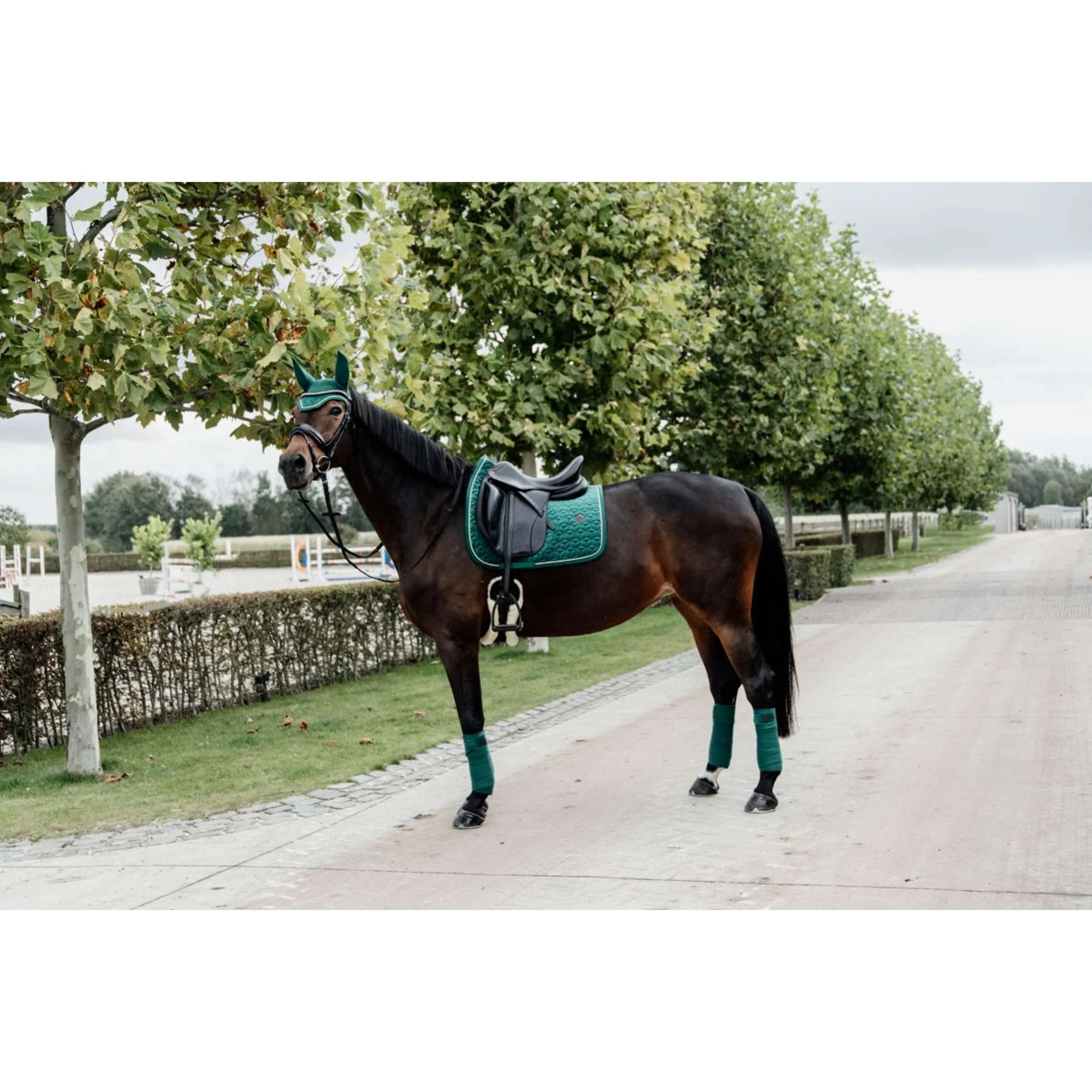 Kentucky Tapis de Selle Velvet Dressage Vert Foncé - Image 5