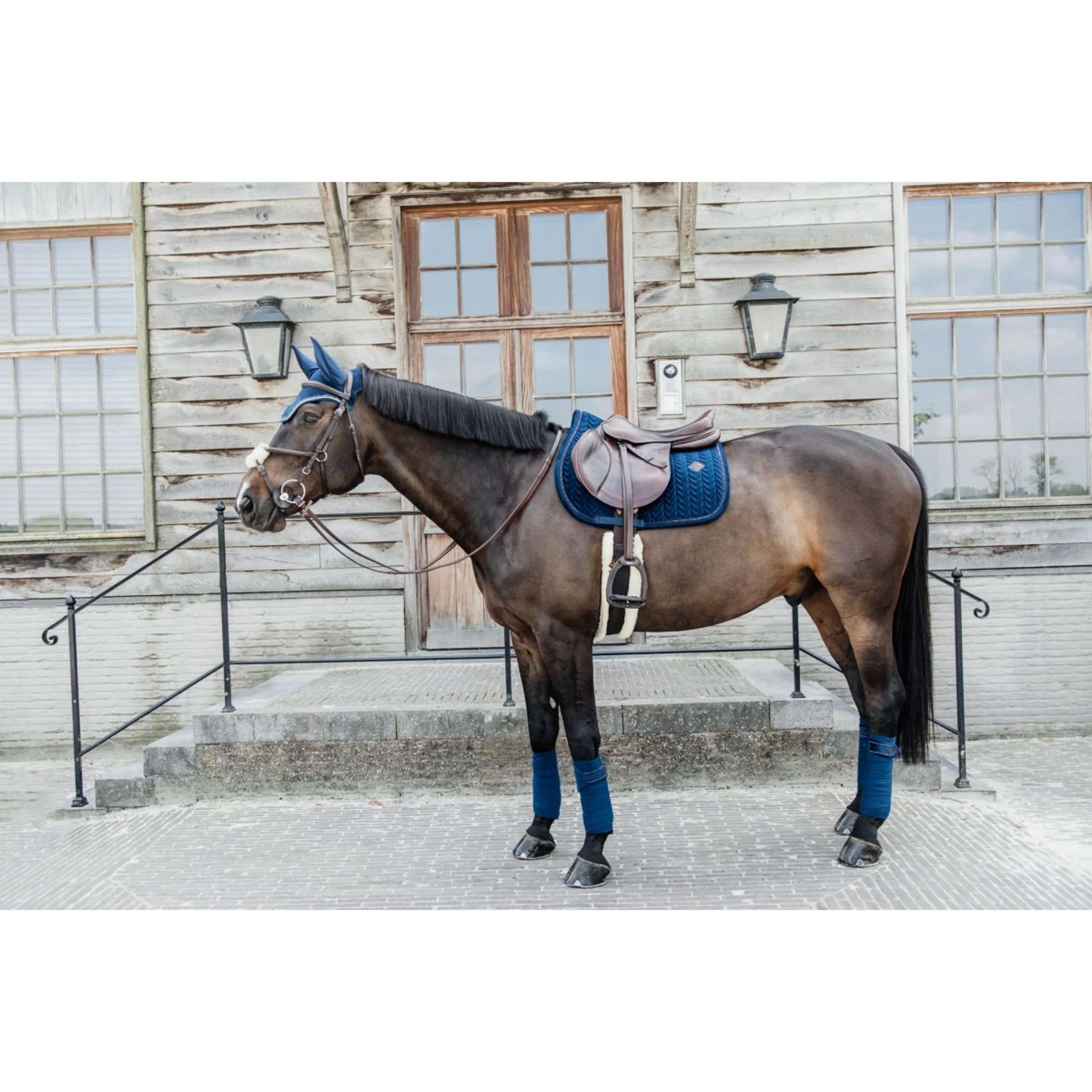 Kentucky Tapis de Selle velours Pearls de Saut Marin - Image 9