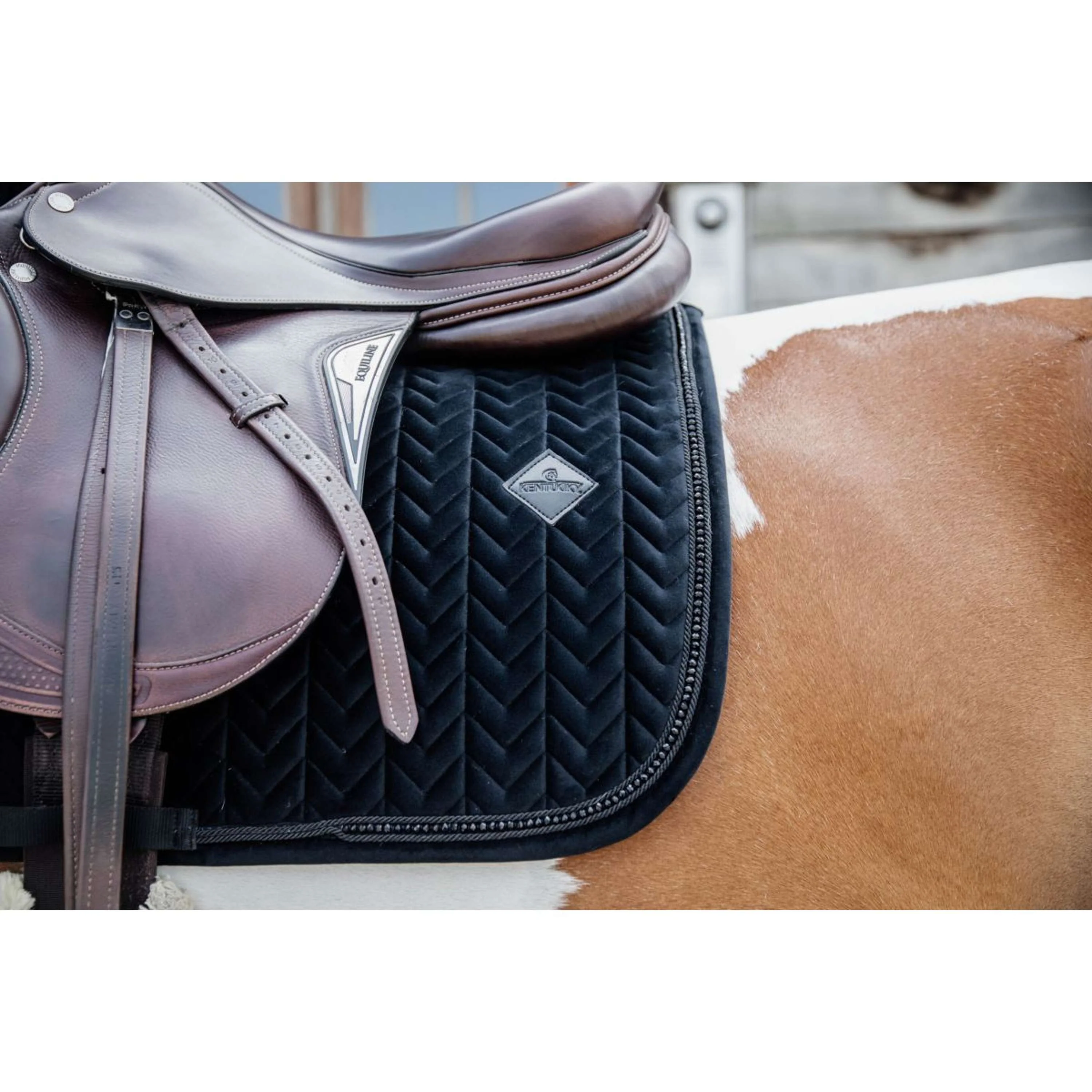 Kentucky Tapis de Selle velours Pearls de Saut Noir - Image 4