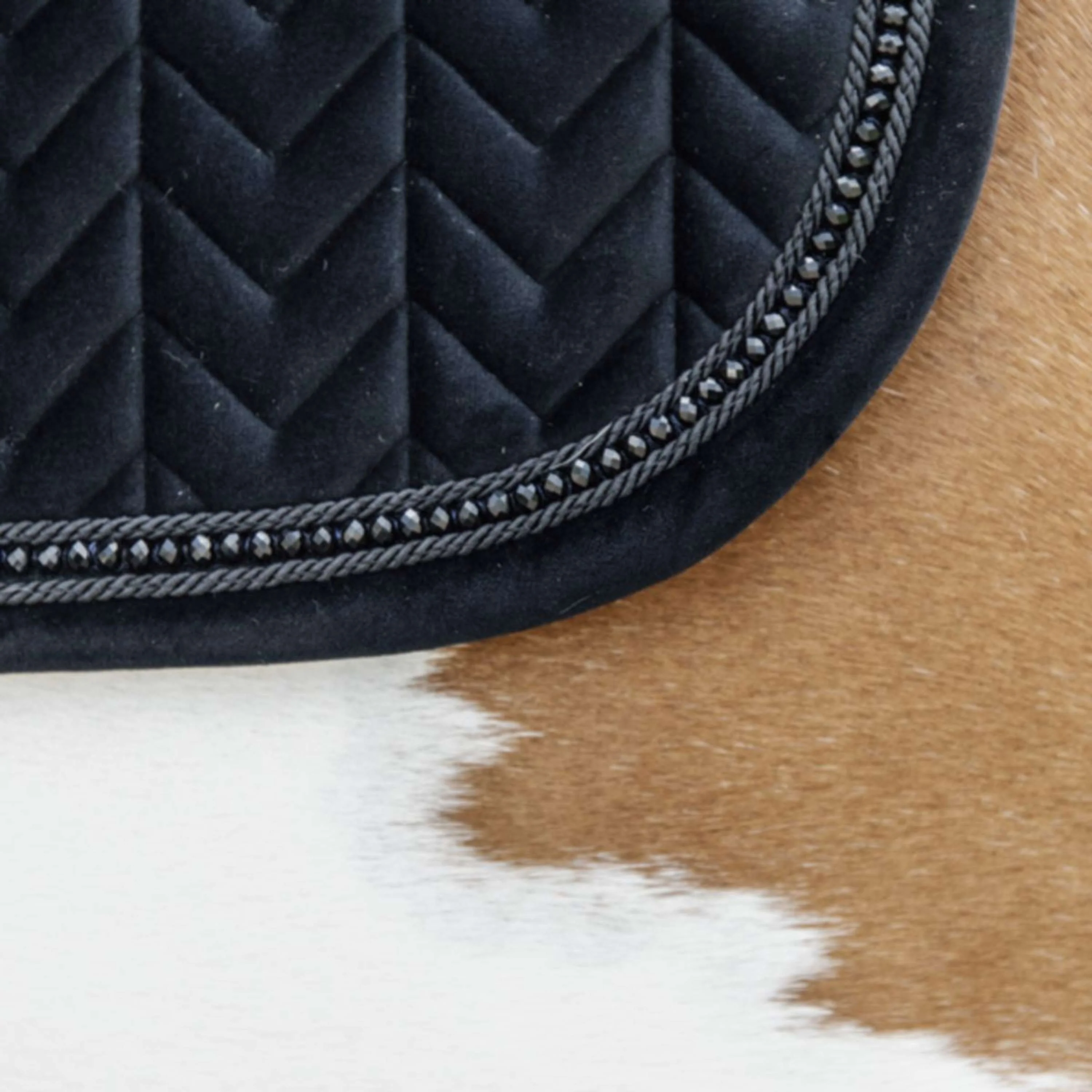 Kentucky Tapis de Selle velours Pearls de Saut Noir - Image 7