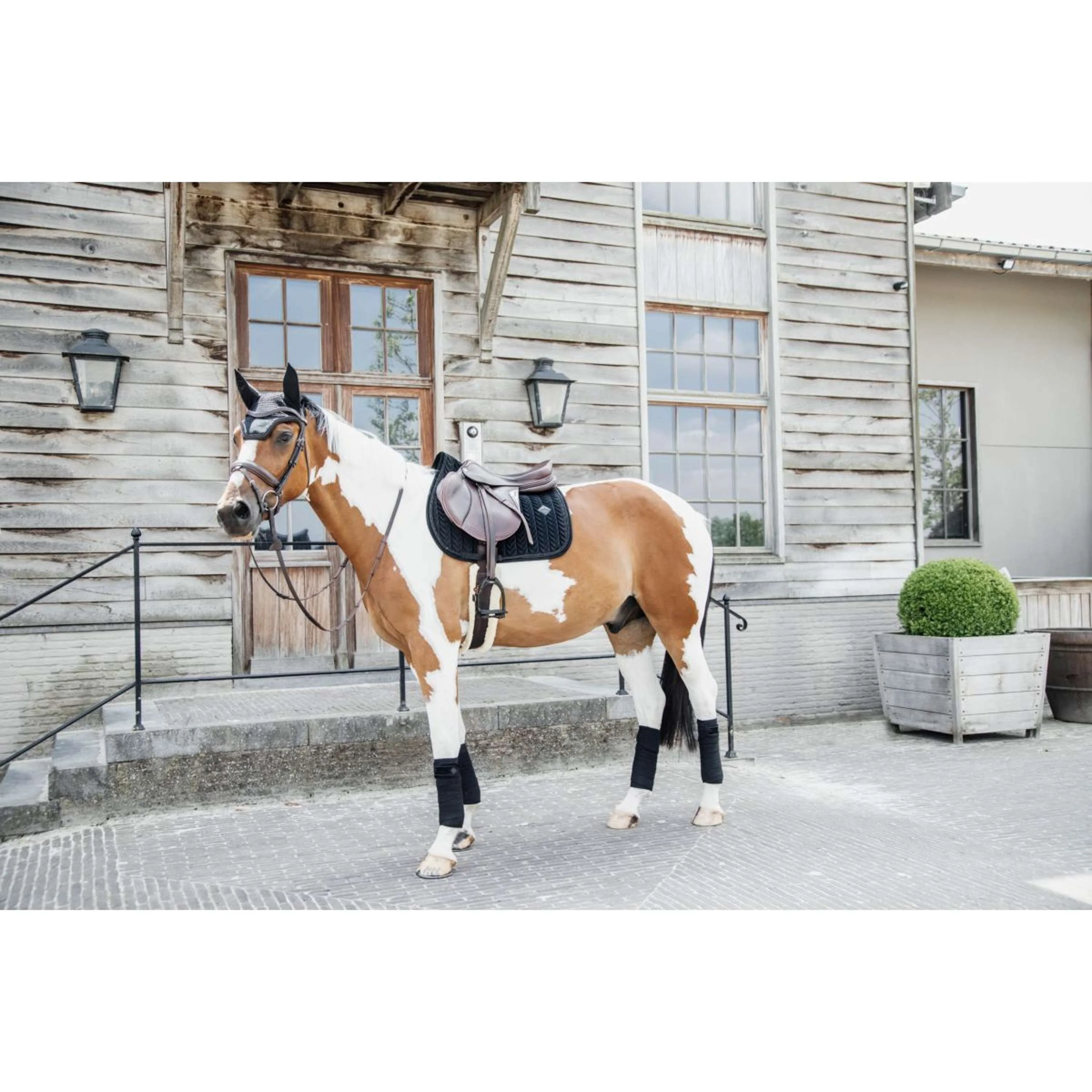 Kentucky Tapis de Selle velours Pearls de Saut Noir - Image 8