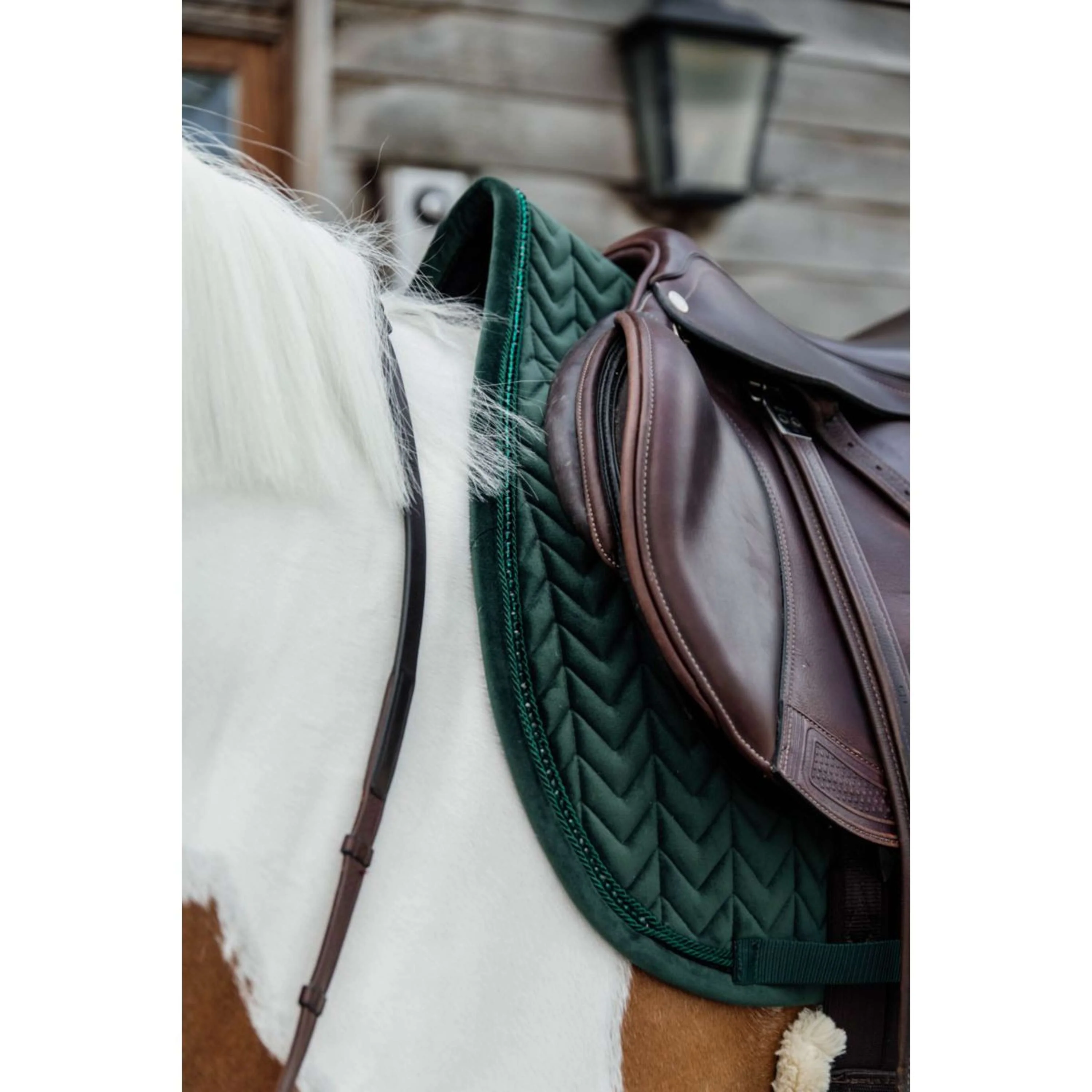 Kentucky Tapis de Selle velours Pearls de Saut Pine Green - Image 5