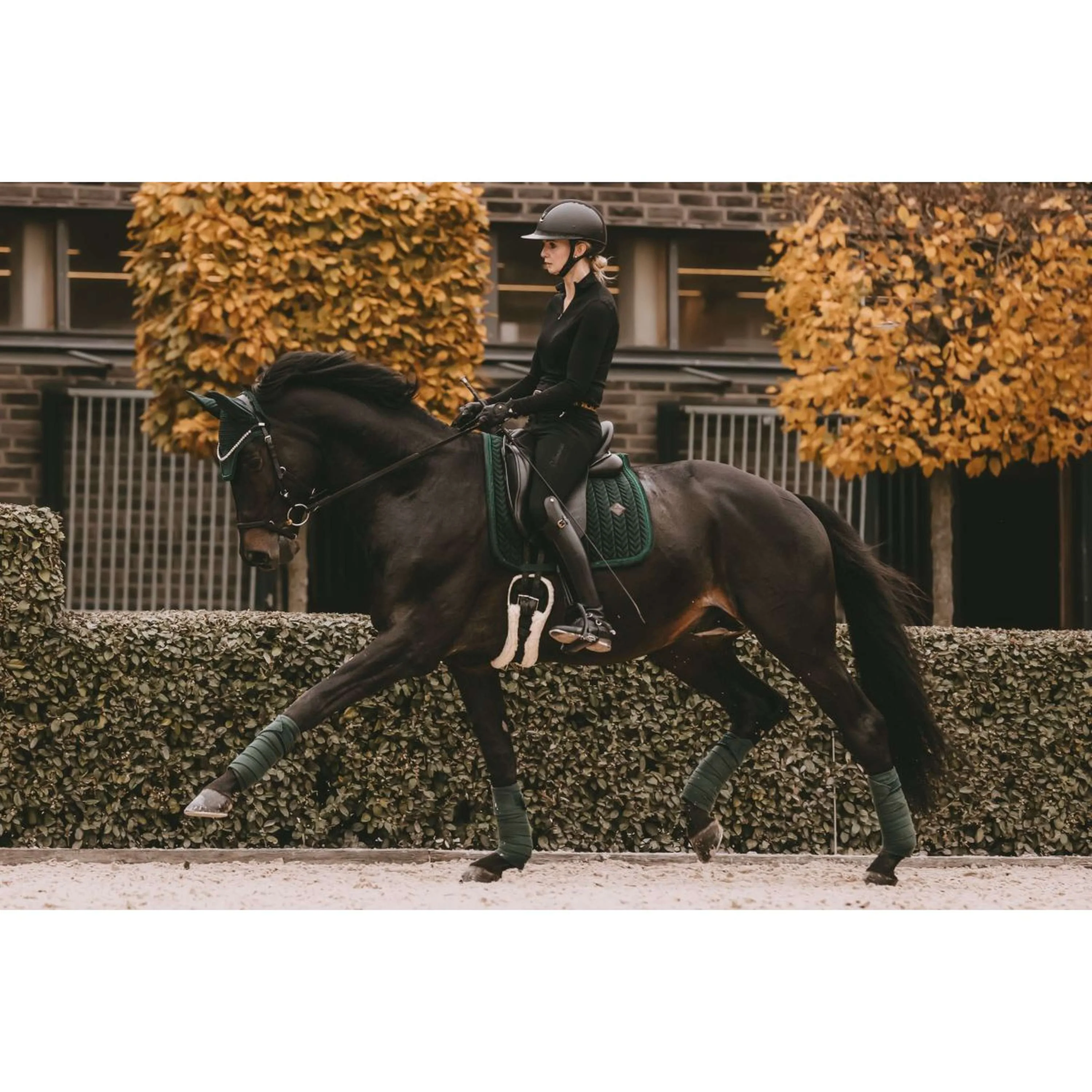 Kentucky Tapis de Selle velours Pearls Dressage Pine Green - Image 3