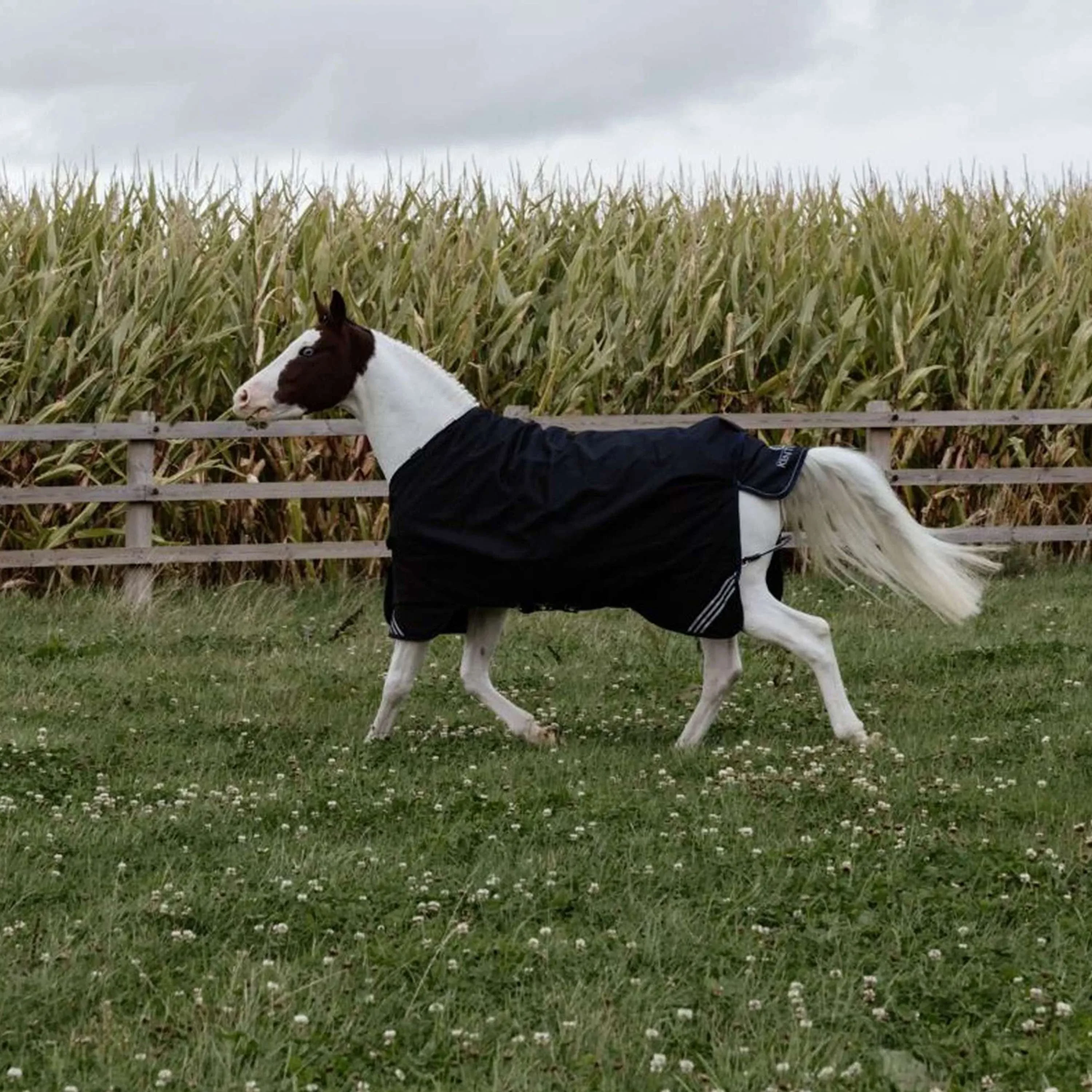 Kentucky Turnout Rug All Weather Comfort Waterproof 200g Noir - Image 3