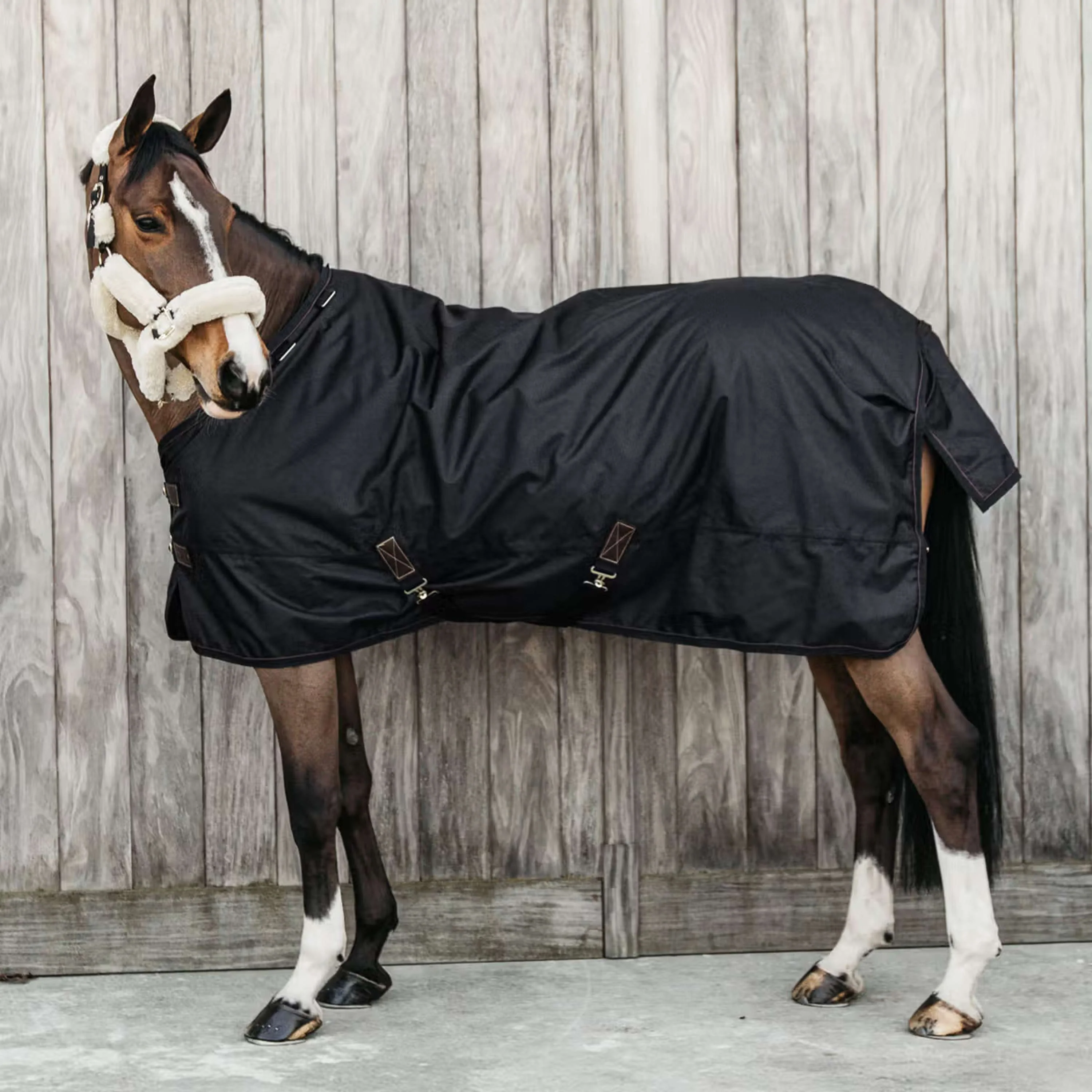 Kentucky Turnout Rug All Weather Waterproof Pro 0g Noir
