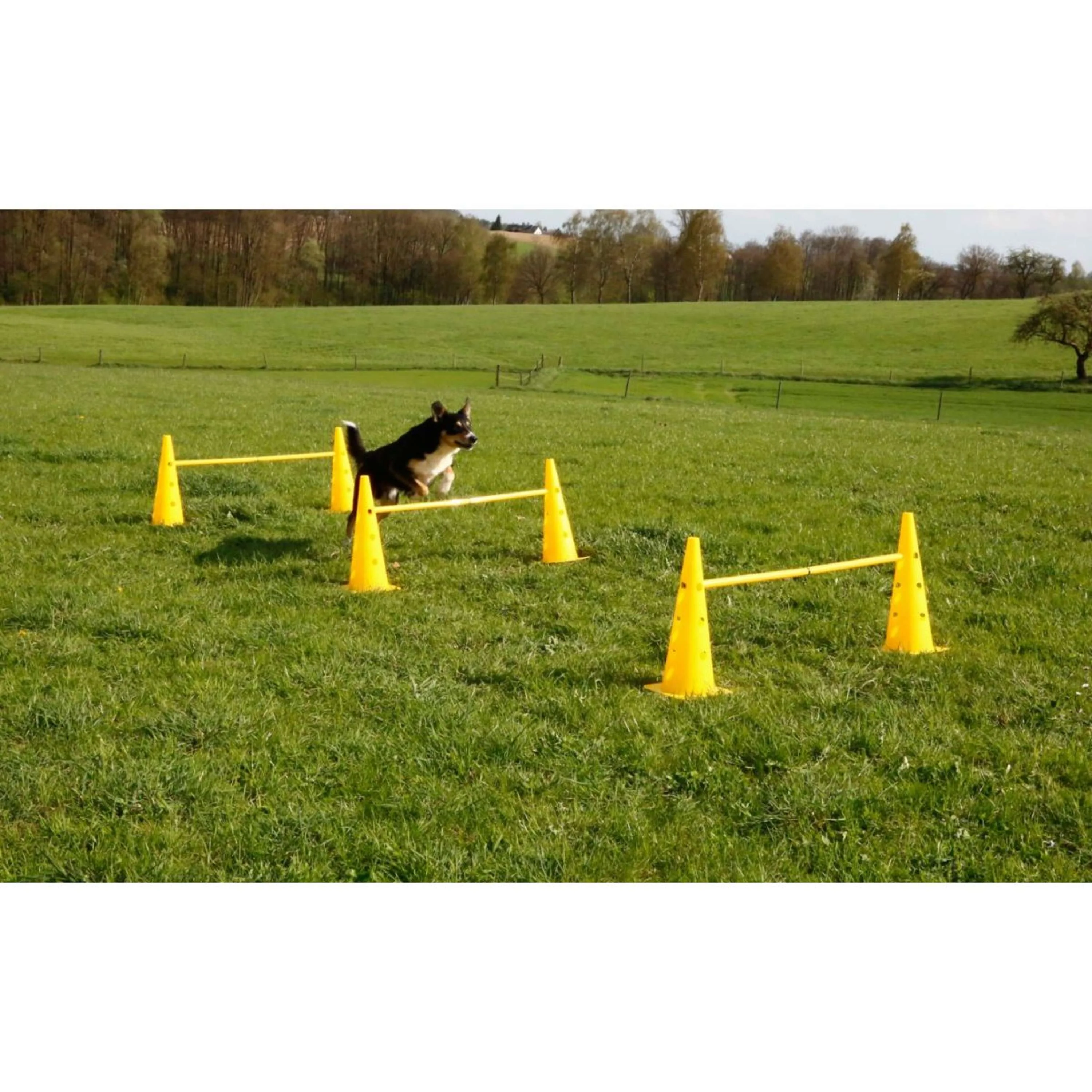 Kerbl Agilité Set Pylône 3 obstacles Rouge/Jaune - Image 2