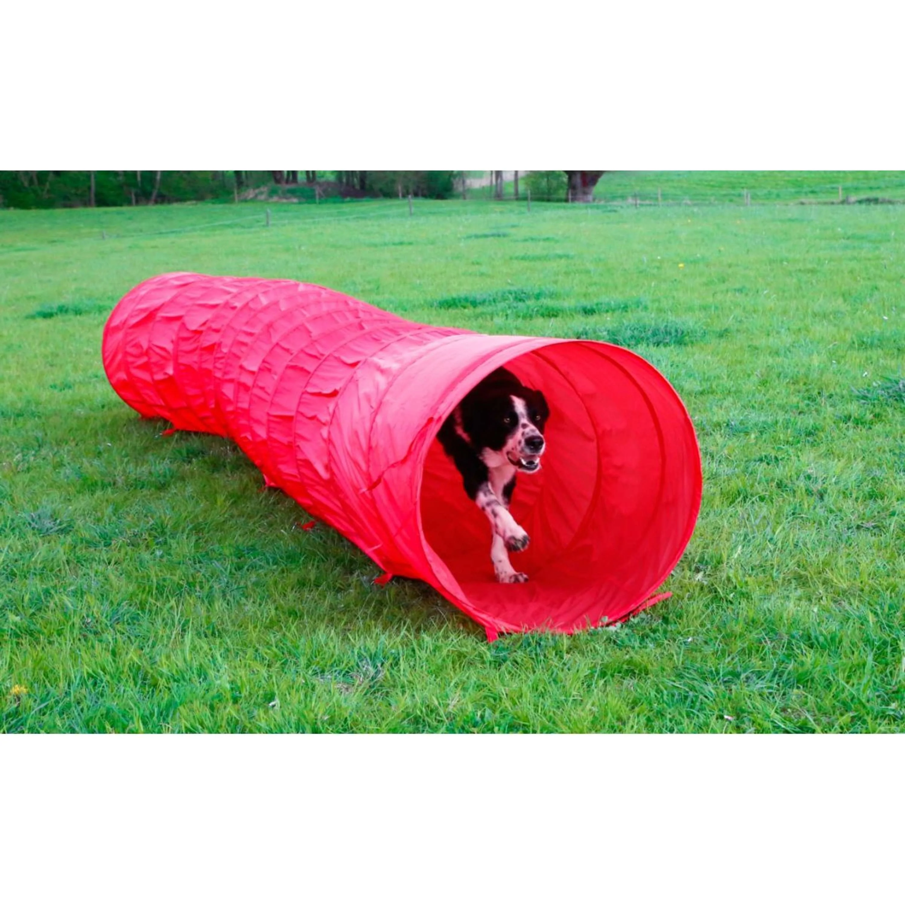 Kerbl Agilité Tunnel Chiens Rouge - Image 2