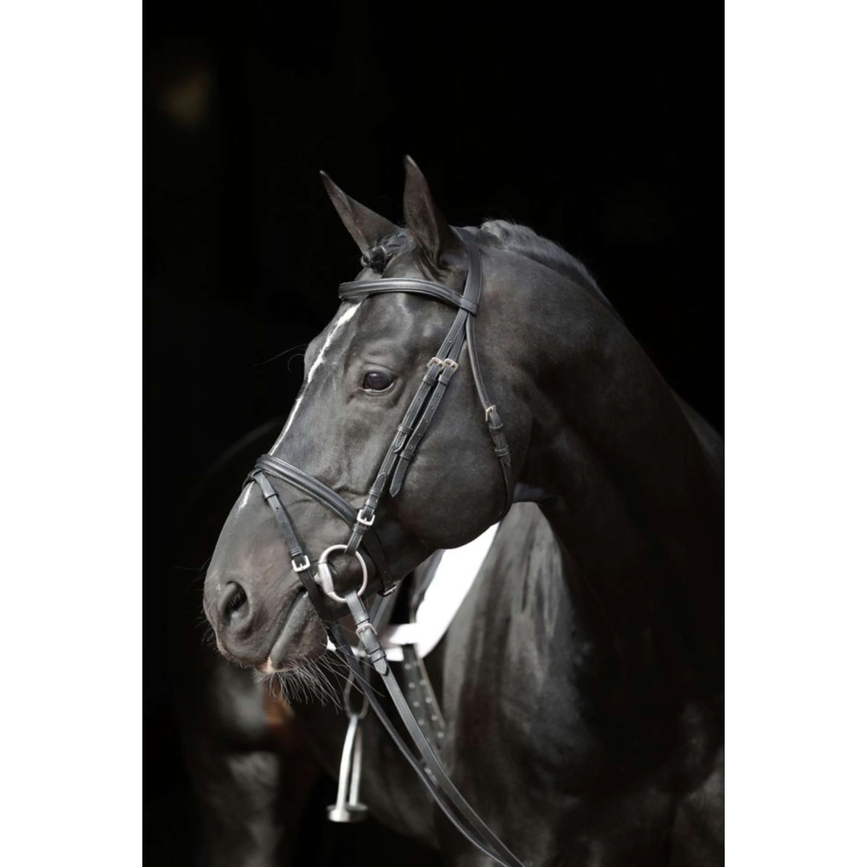 Kerbl Bride Support Noir - Image 3
