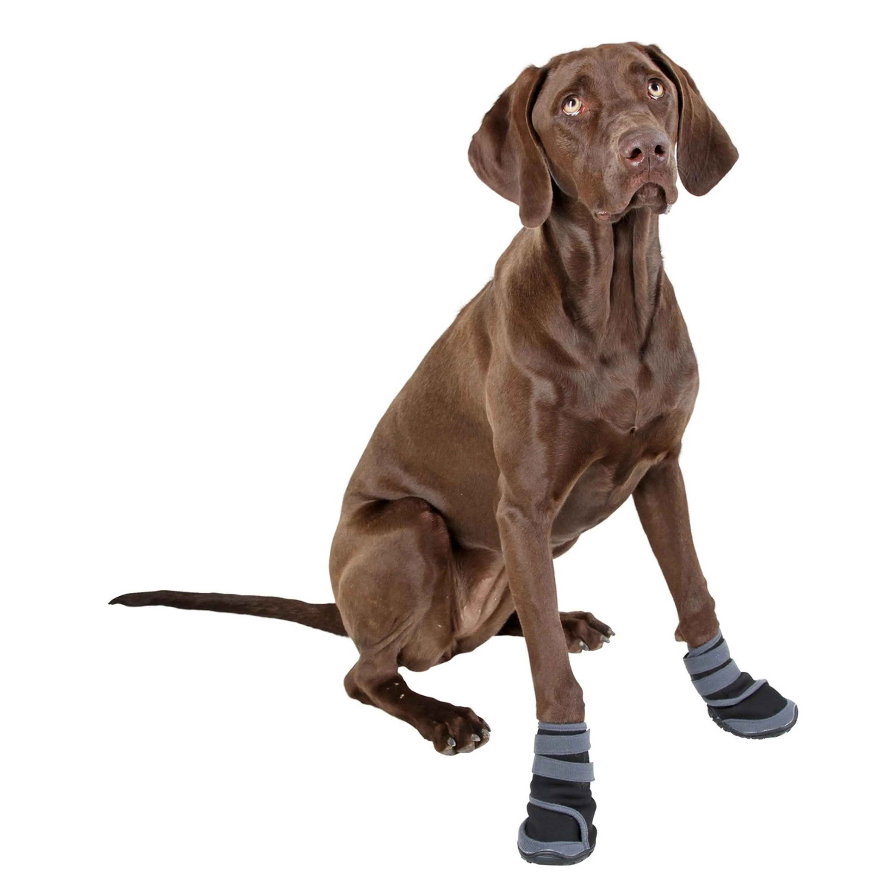 Kerbl Chaussures pour Chien Active Noir/Gris - Image 4