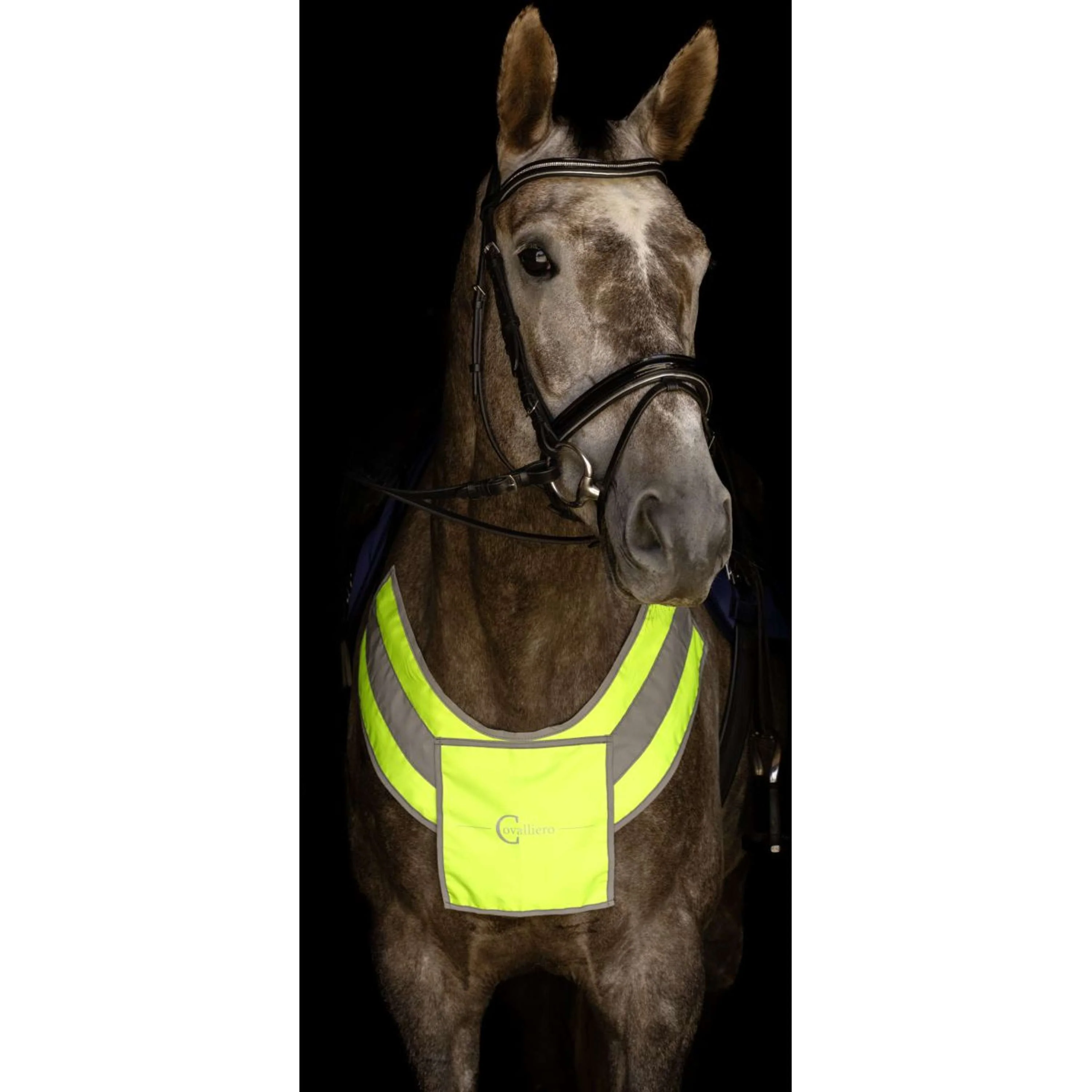 Kerbl Collier de Chasse Reflex - Image 2