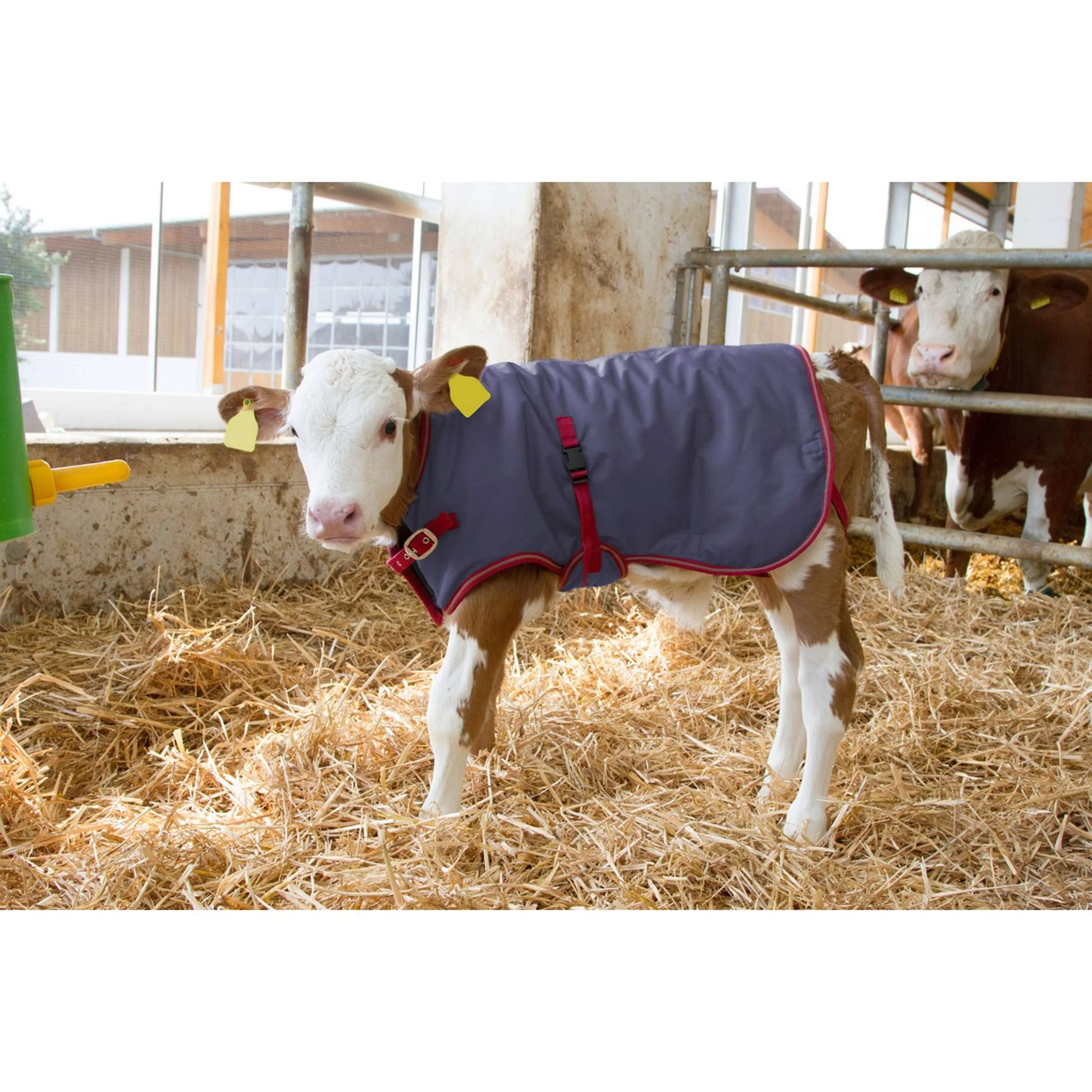 Kerbl Couverture pour Veau Thermoplus - Image 4