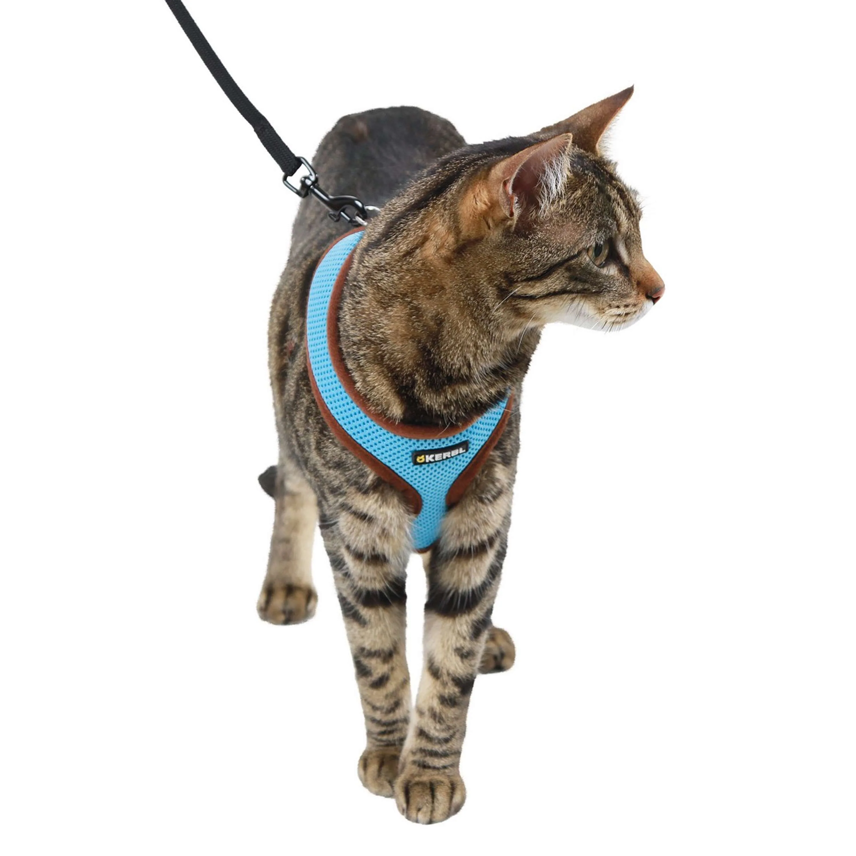 Kerbl Harnais pour Chat Active avec Ligne 120cm Bleu