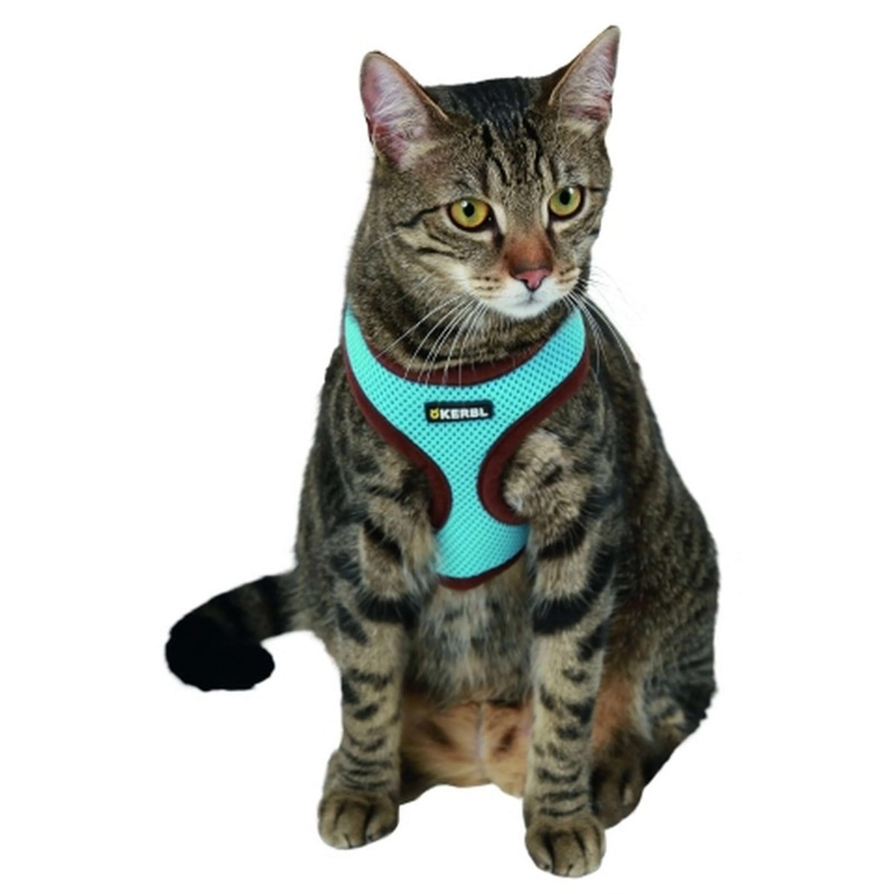 Kerbl Harnais pour Chat Active avec Ligne 120cm Bleu - Image 2