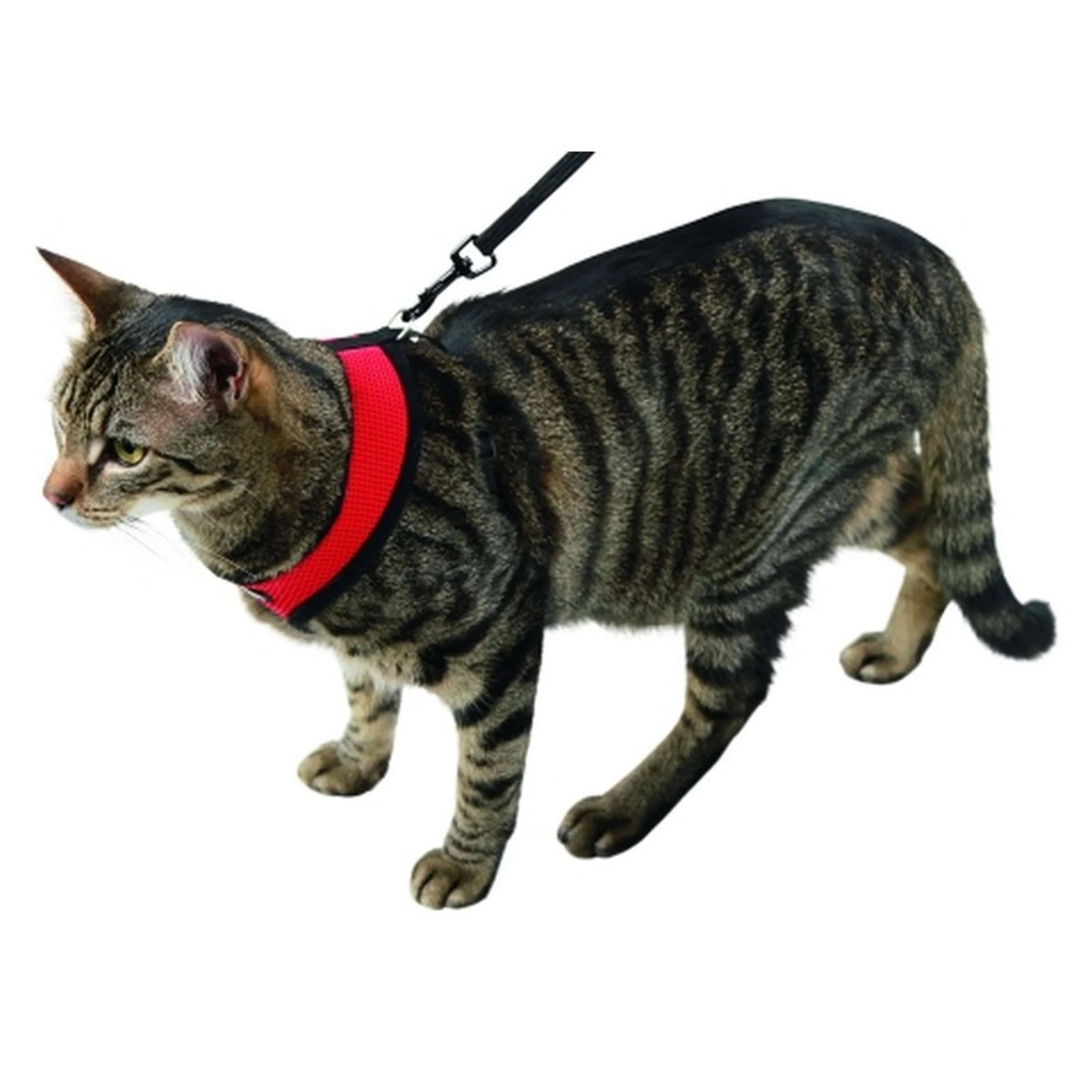 Kerbl Harnais pour Chat Active avec Ligne 120cm Rouge - Image 2