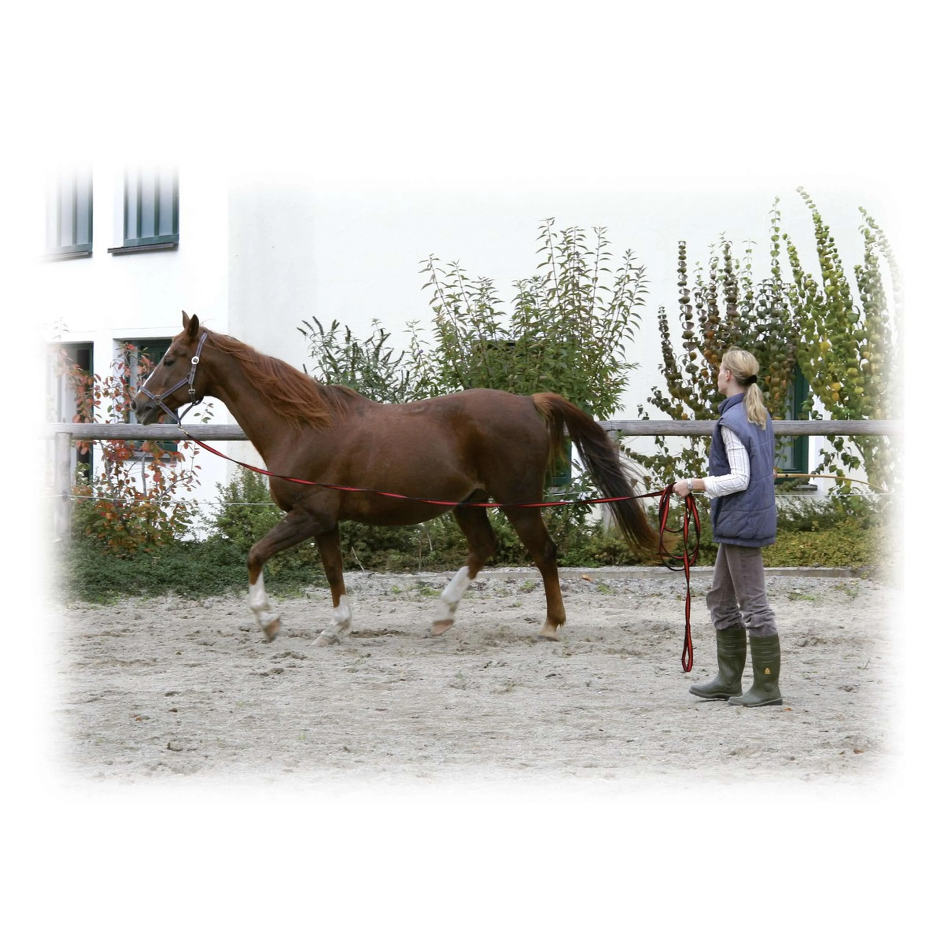 Kerbl Longe Softgrip 8m Noir/Rouge - Image 3