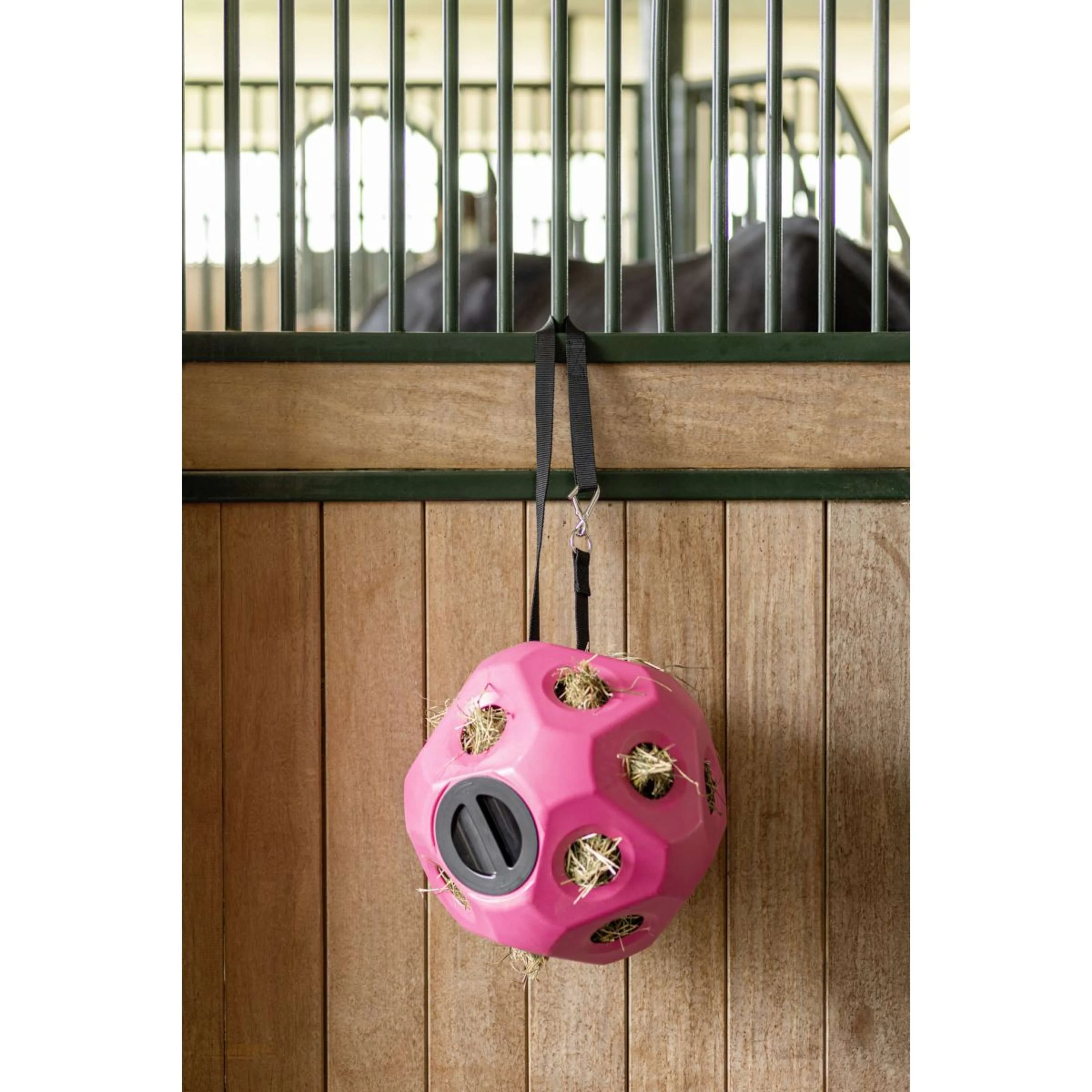 Kerbl Multi-function Belt - Image 3