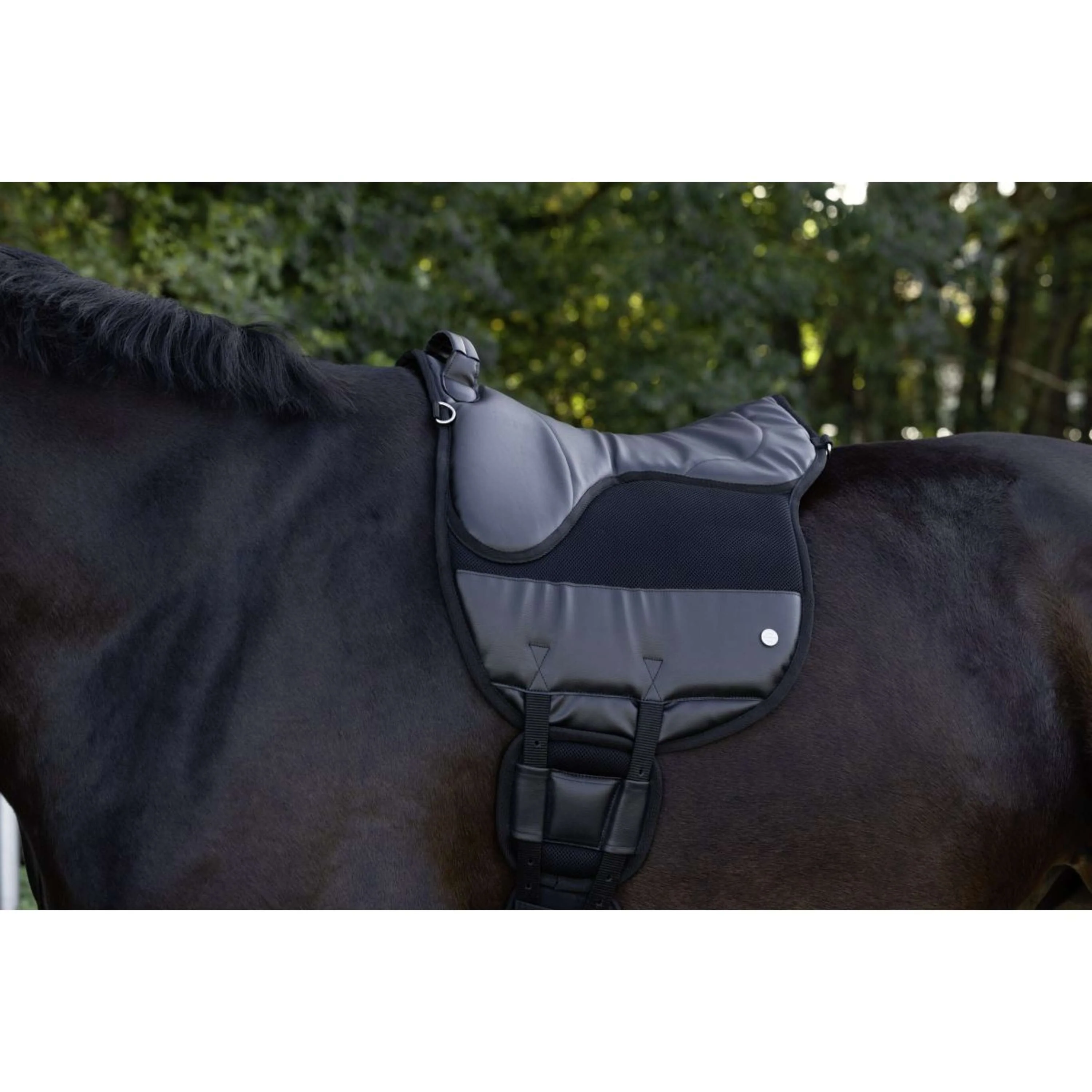 Kerbl Pad Sans Selle Airide Noir - Image 2