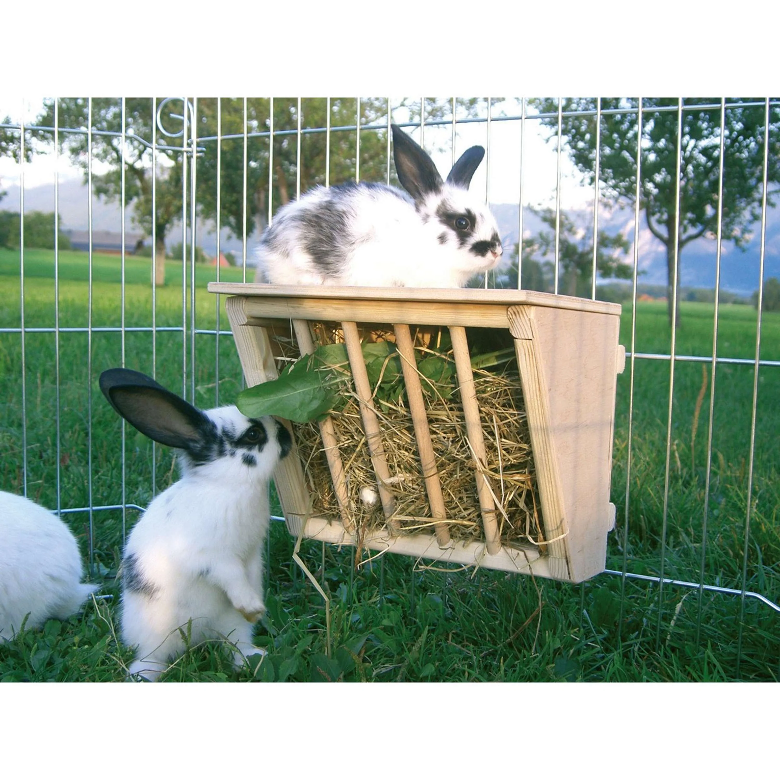 Kerbl Râtelier pour Lapin Bois avec Place Assise - Image 2