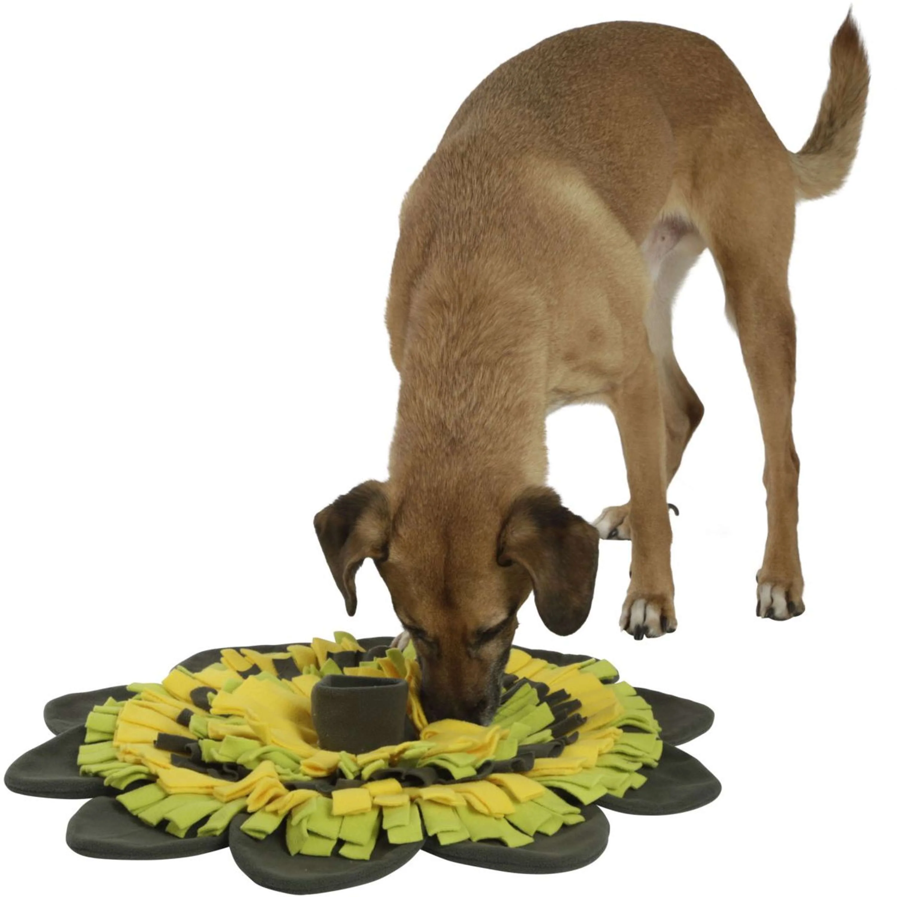 Kerbl Tapis de Fouille Tournesol Jaune/Vert - Image 4