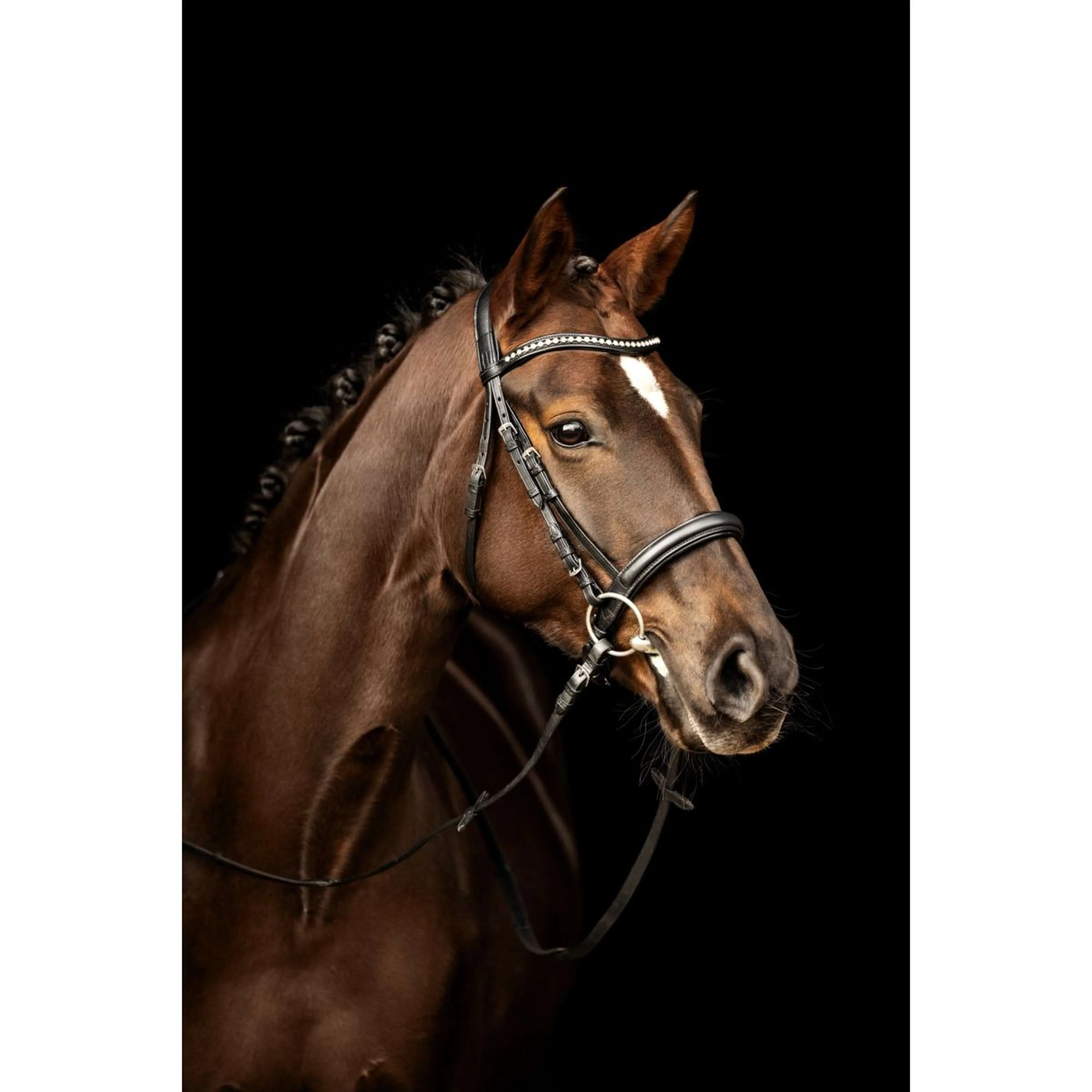 Kieffer Bridon Ultrasoft Sue avec des Cristaux Marron/Gris Clair - Image 2