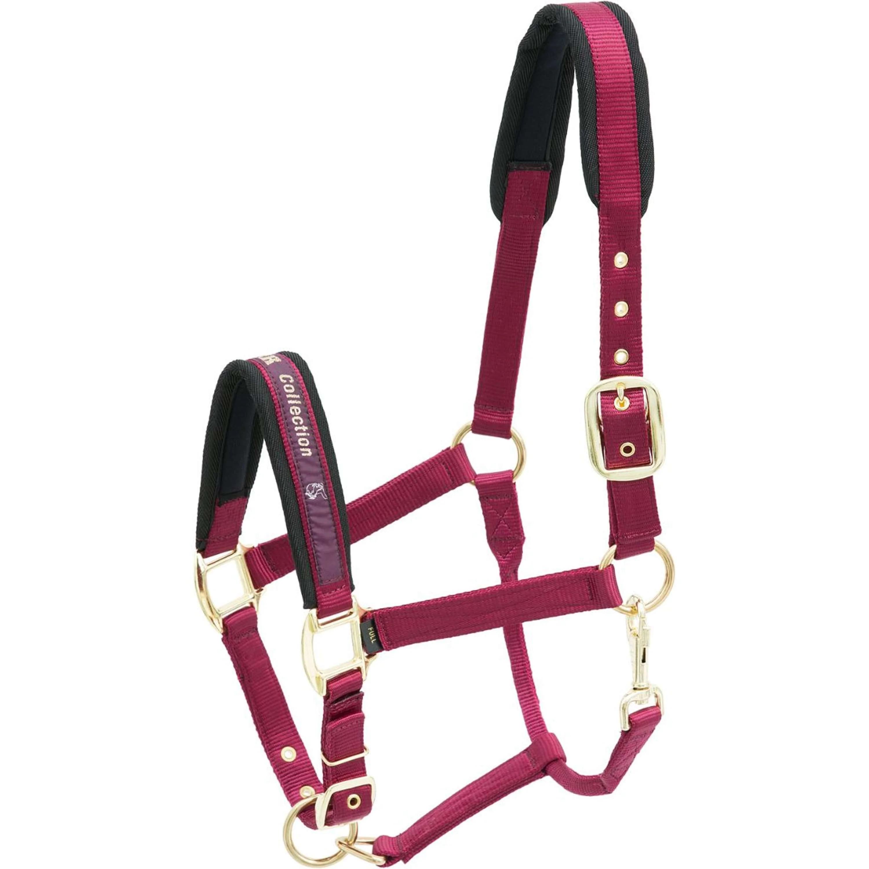 Kieffer Licol Nylon Bordeaux