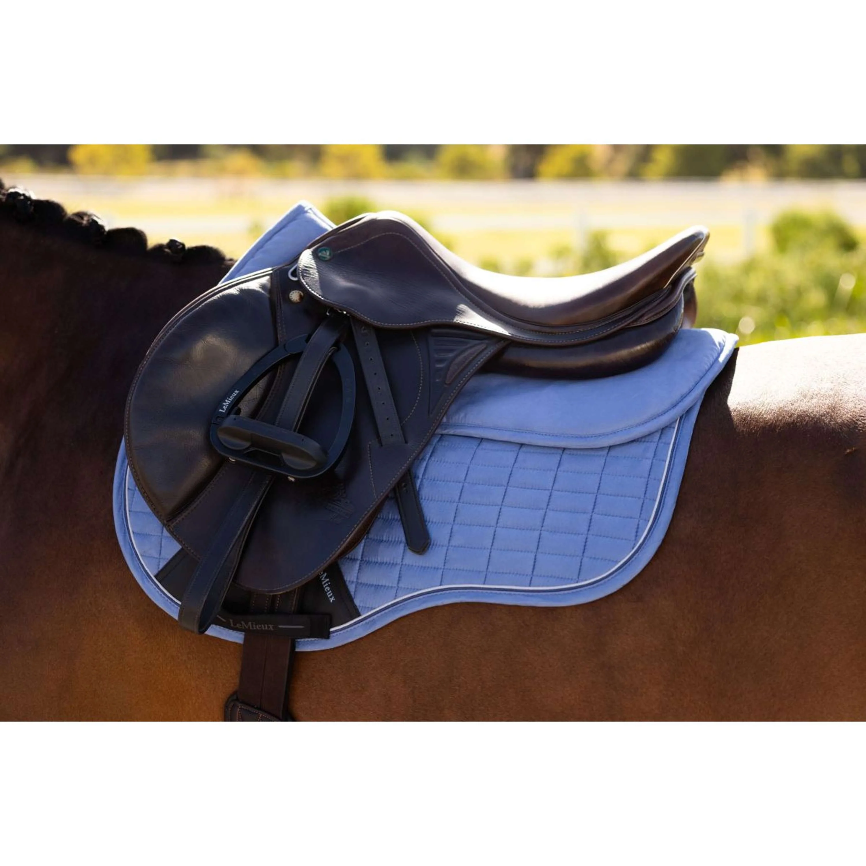 LeMieux Amortisseur Suede Powder Blue - Image 2