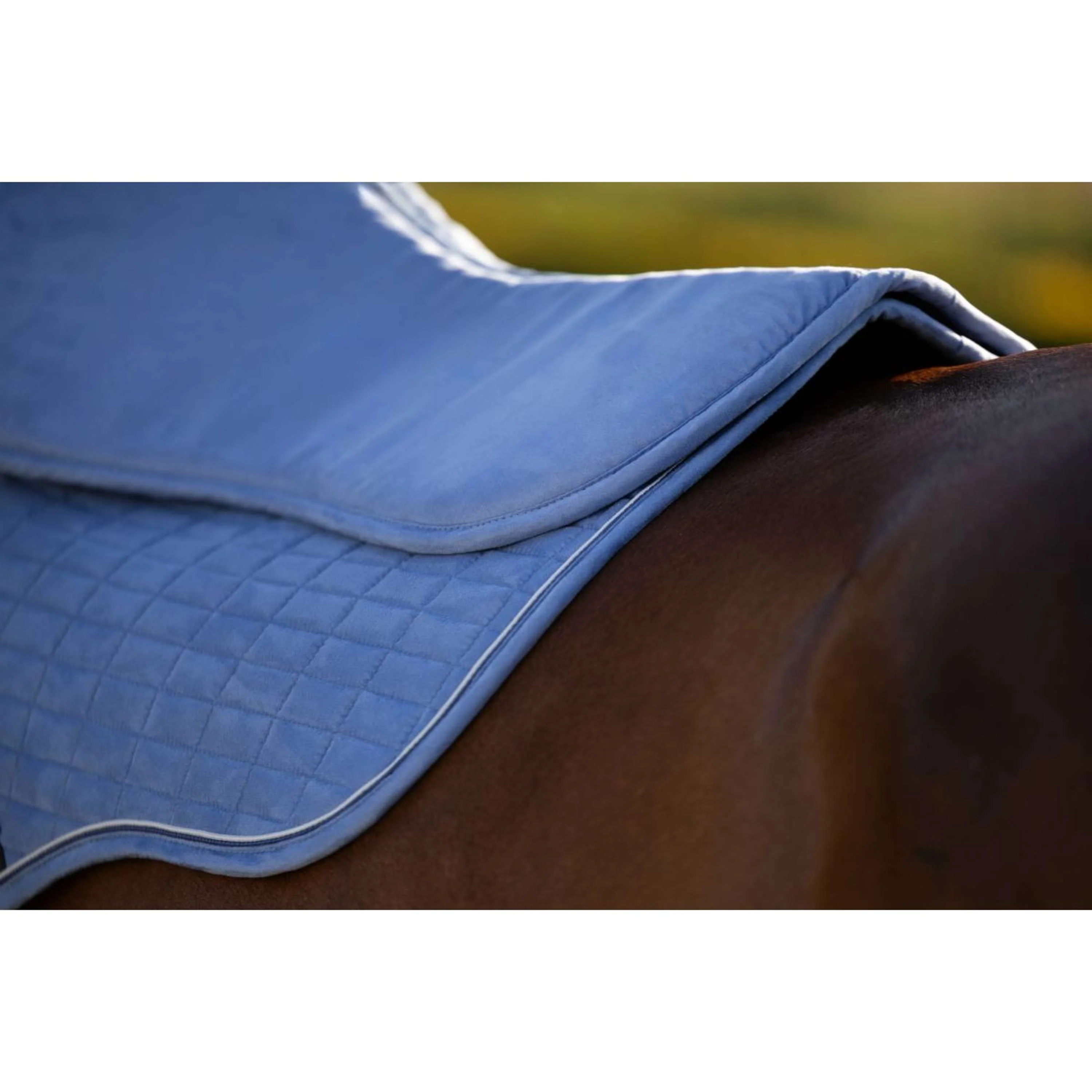LeMieux Amortisseur Suede Powder Blue - Image 5