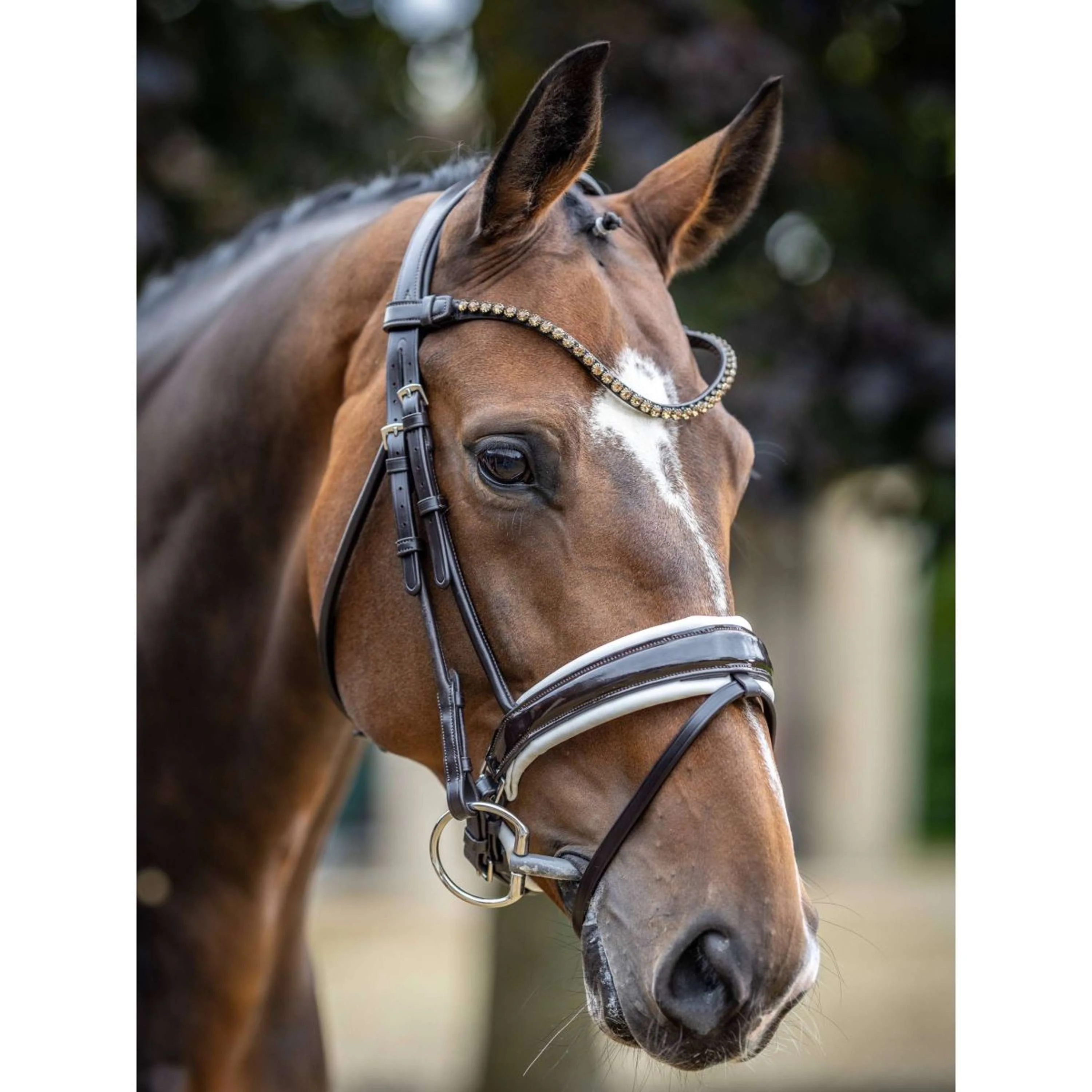LeMieux Bride Kudos Patent Dressage Marron/Blanc - Image 3