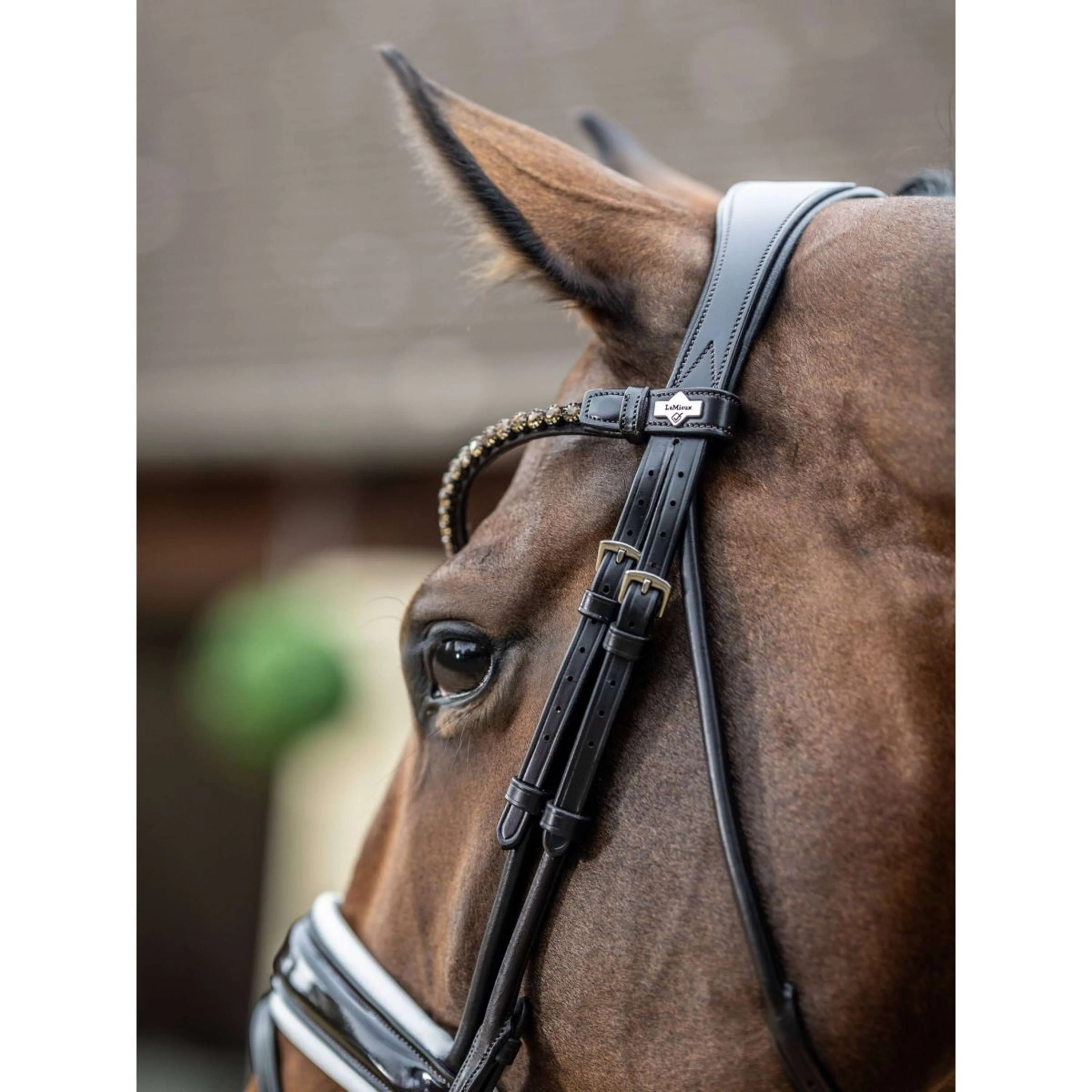 LeMieux Bride Kudos Patent Dressage Marron/Blanc - Image 5