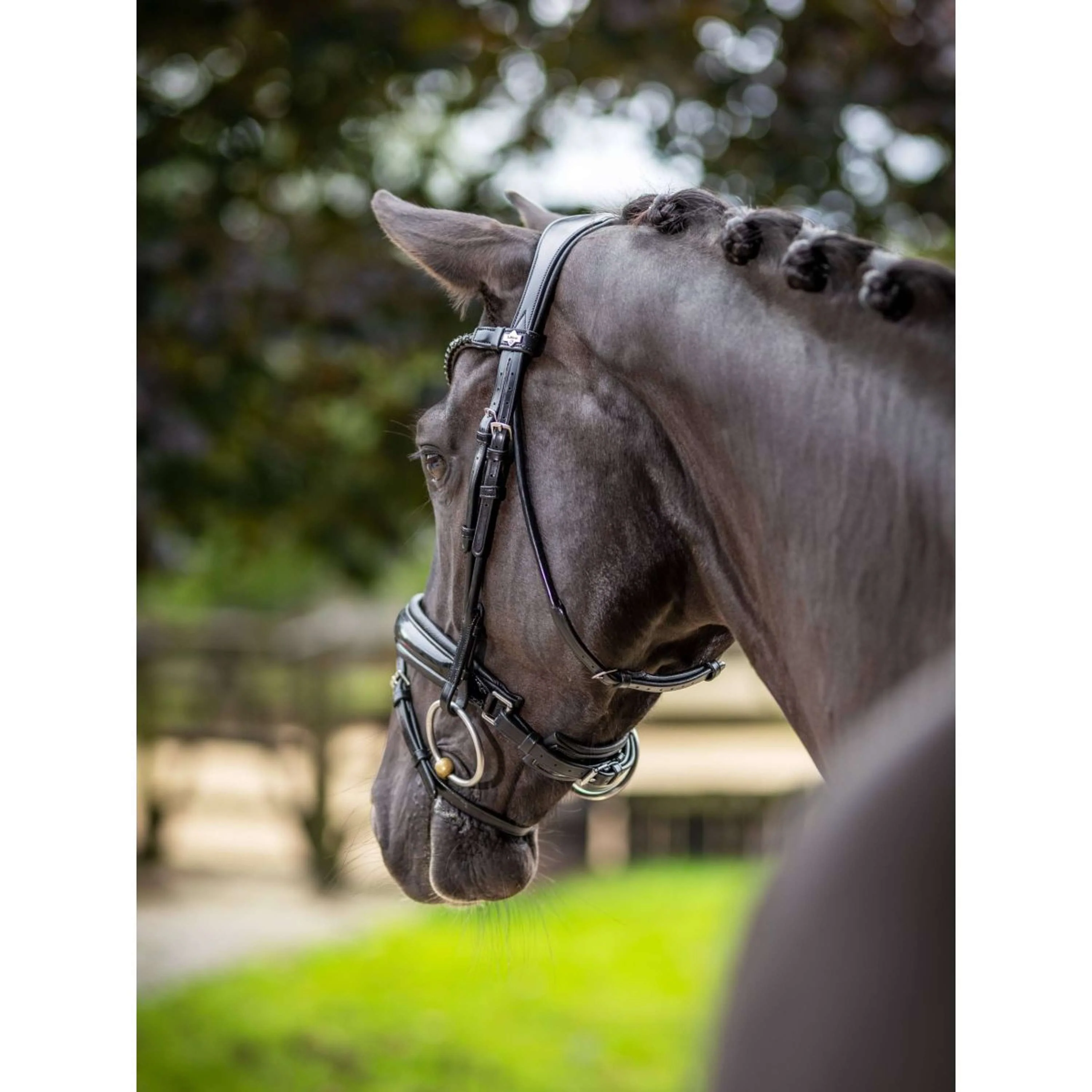 LeMieux Bride Kudos Patent Dressage Noir - Image 5