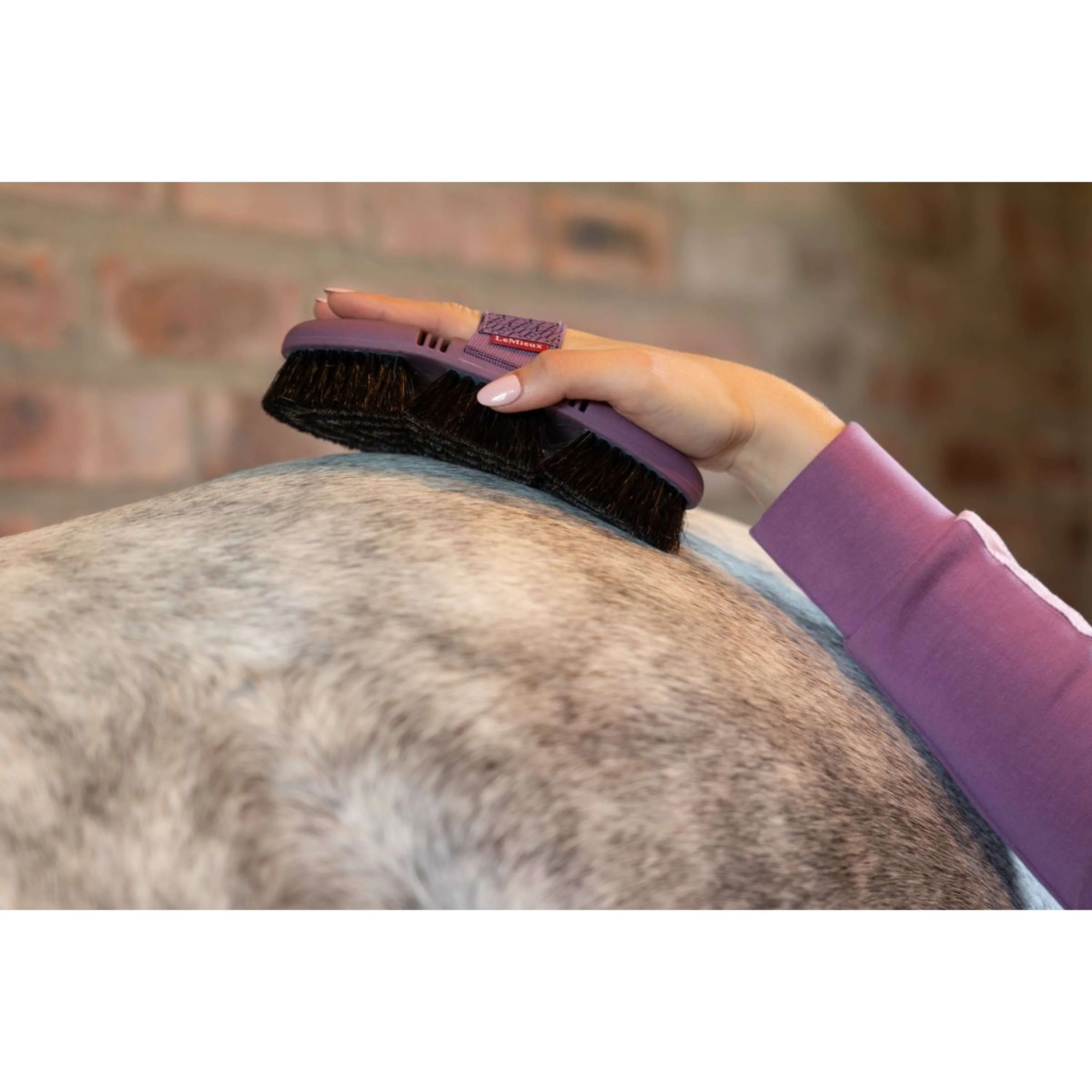 LeMieux Brosse Douce Flexi Crin de Cheval Powder Blue - Image 2