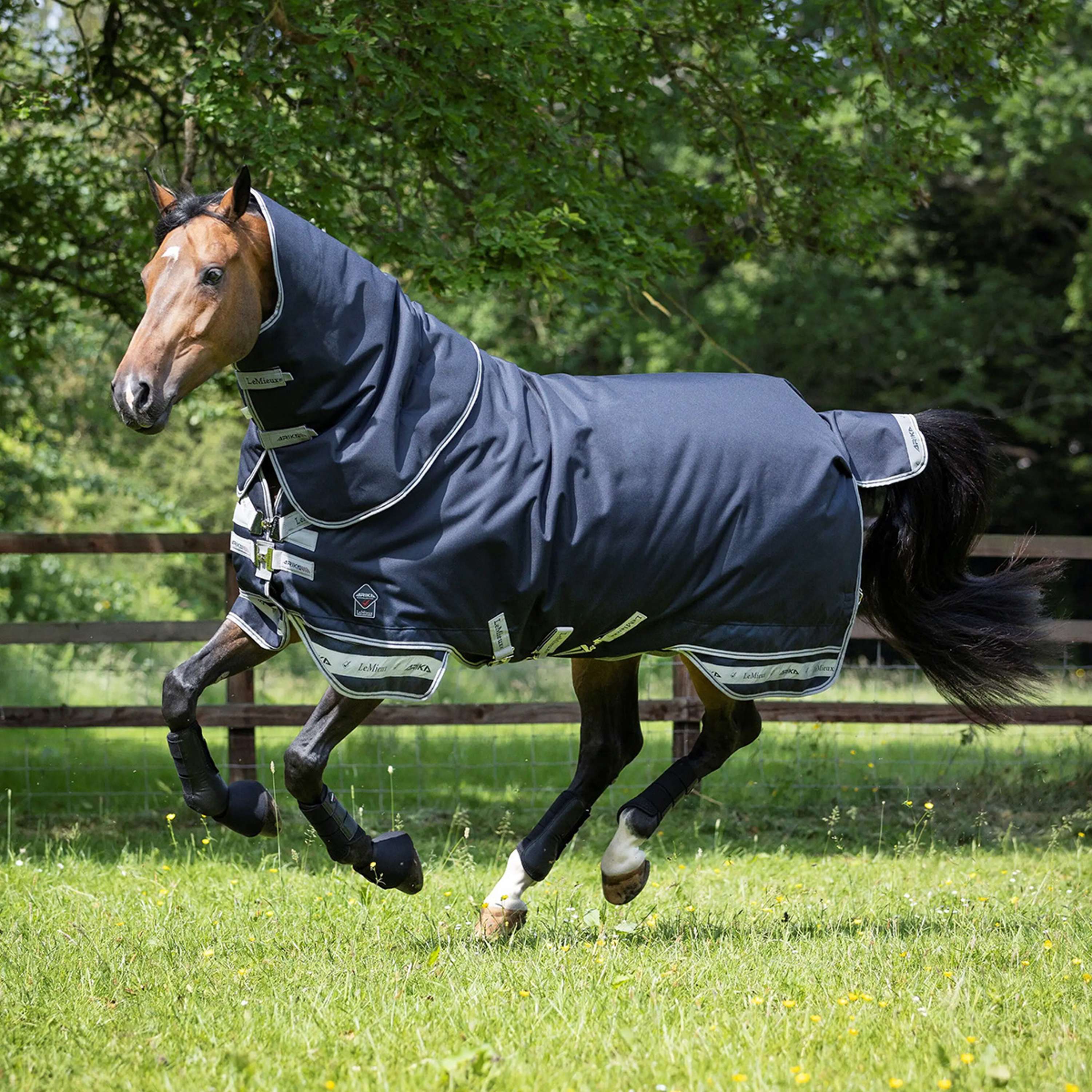 LeMieux Couverture Arika Storm-Tek Turnout 100g Marin