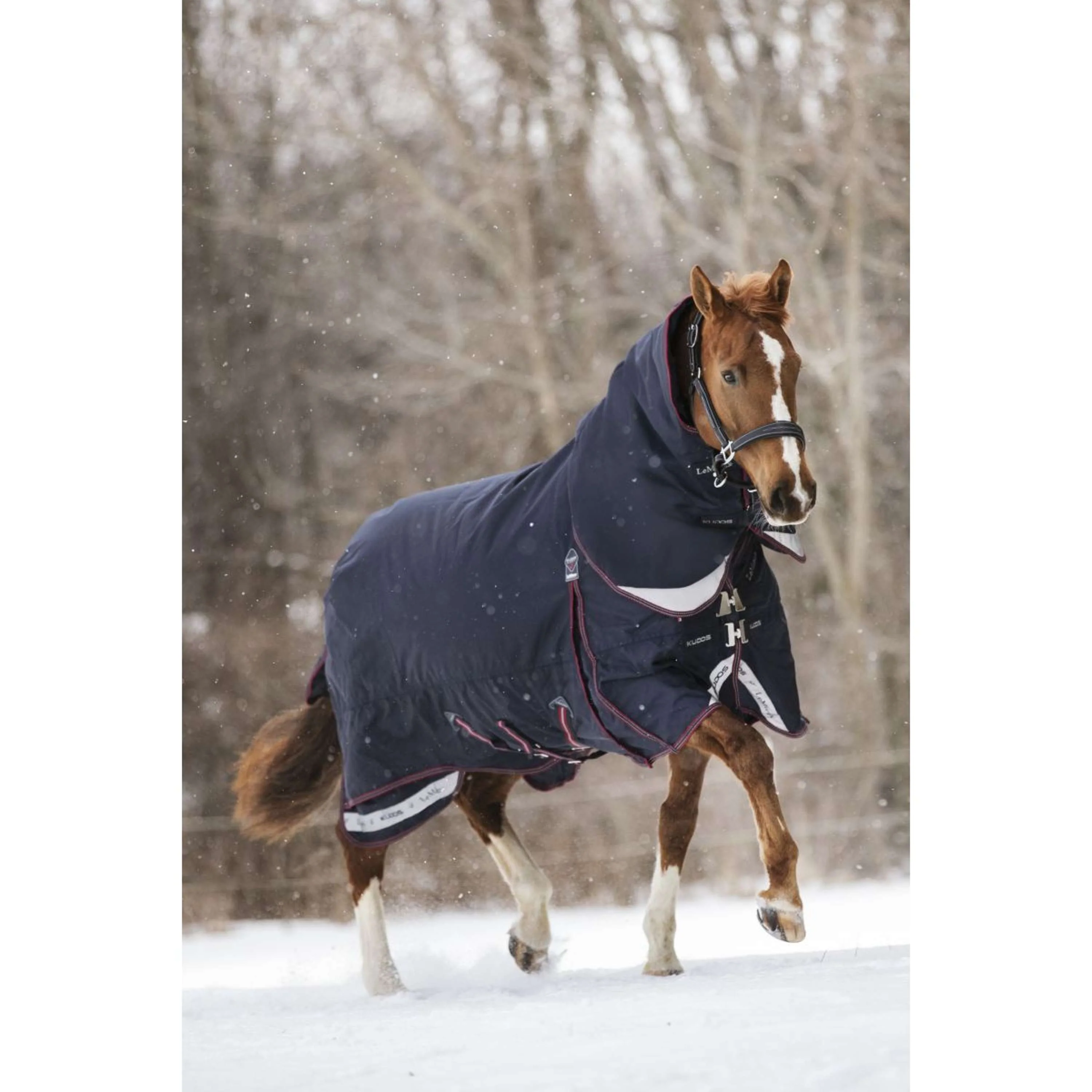 LeMieux Couverture Kudos Turnout 350g Marin - Image 2