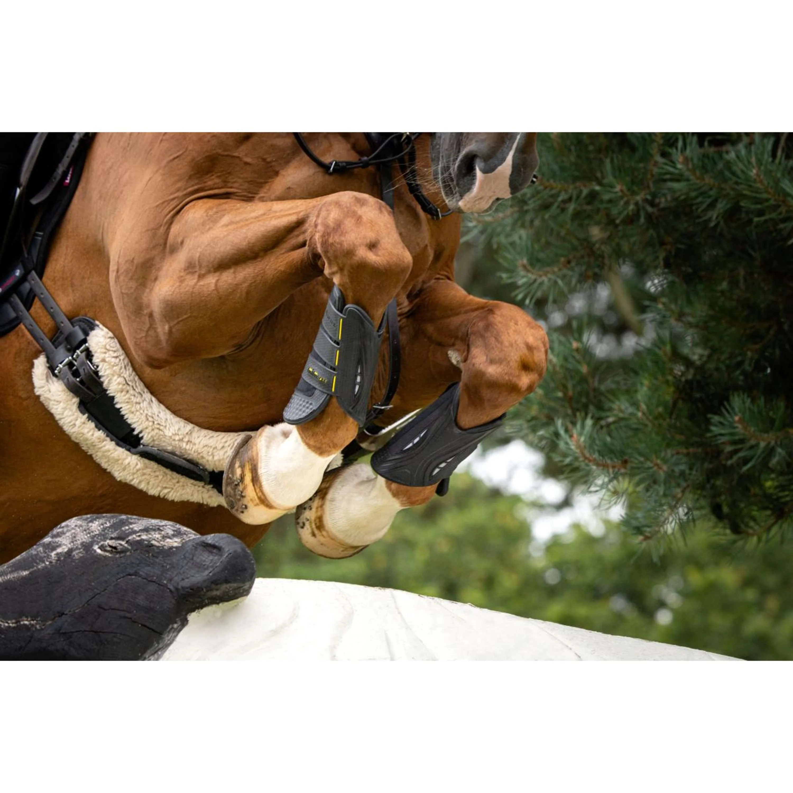 LeMieux Eventing Boots MIMsafe Pour Noir - Image 2