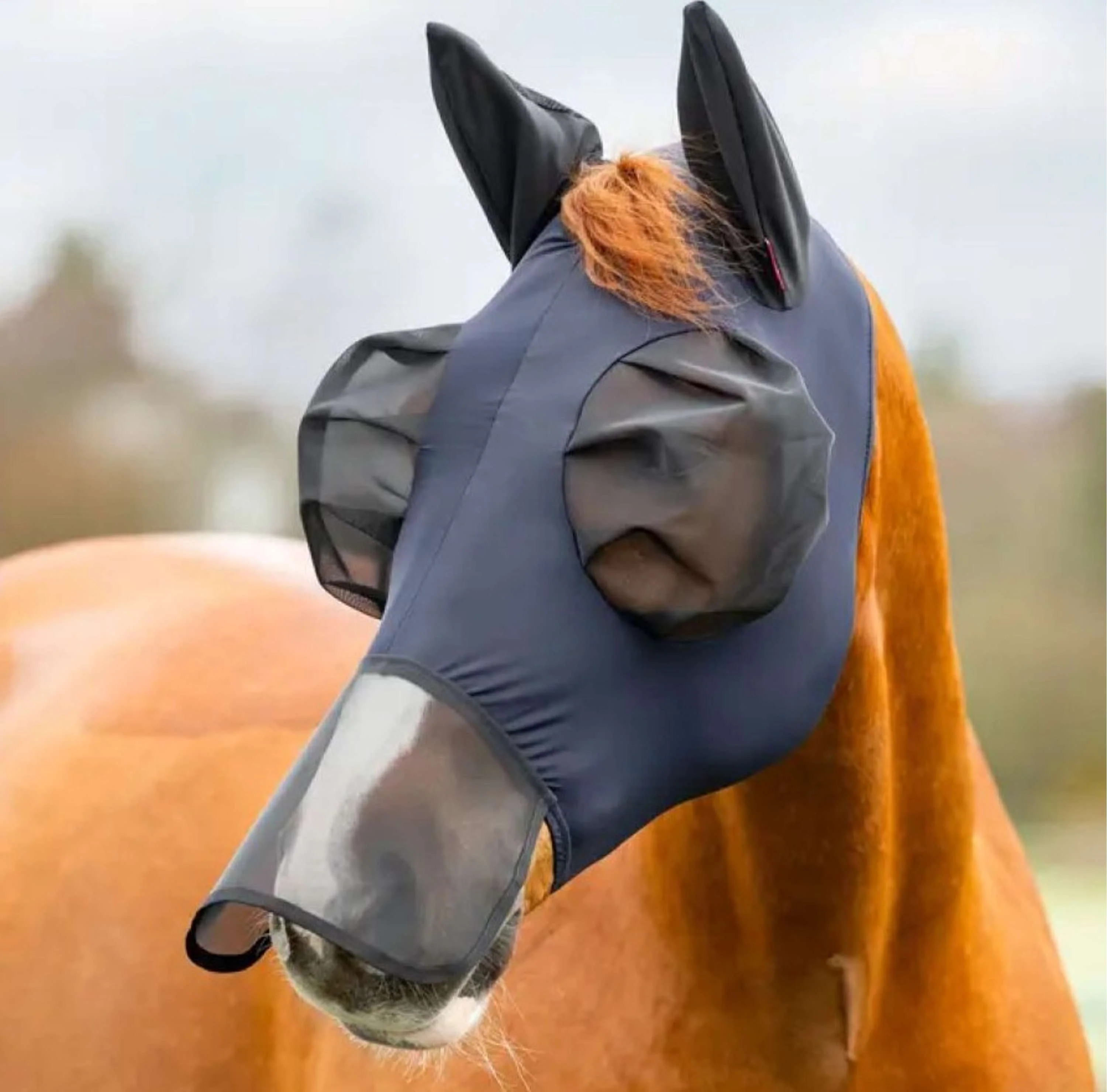 LeMieux Masque Anti-Mouches Bug Relief Avec Filet Nez Marin
