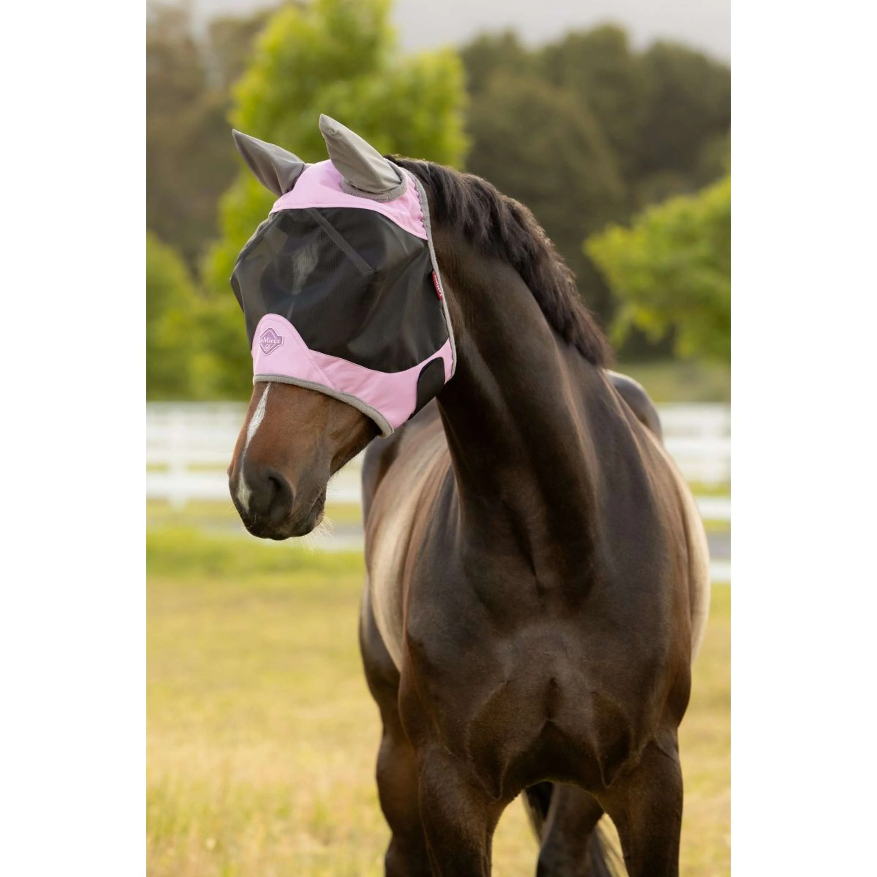 LeMieux Masque Anti-Mouches Visor-Tek Fondant - Image 3