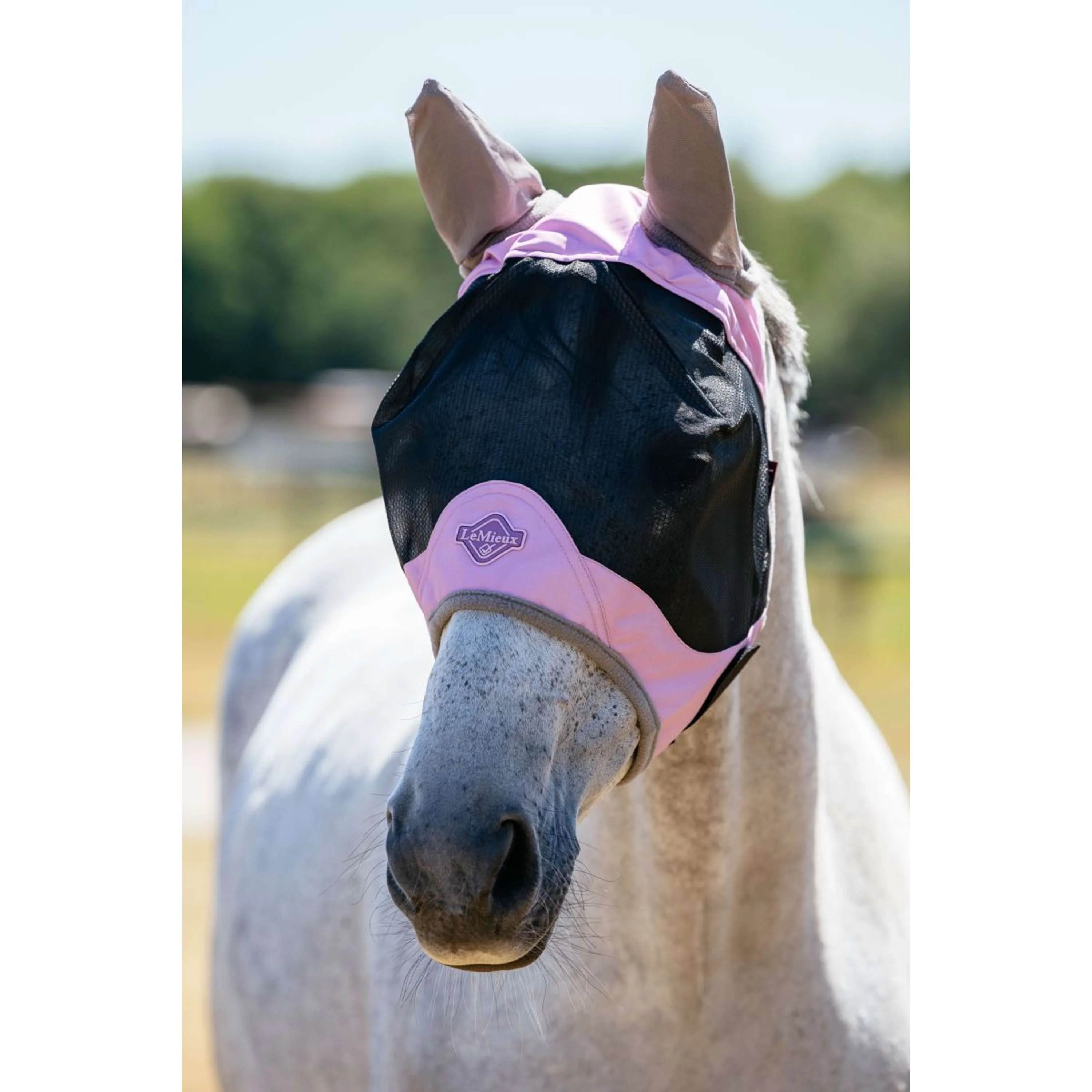 LeMieux Masque Anti-Mouches Visor-Tek Fondant - Image 5