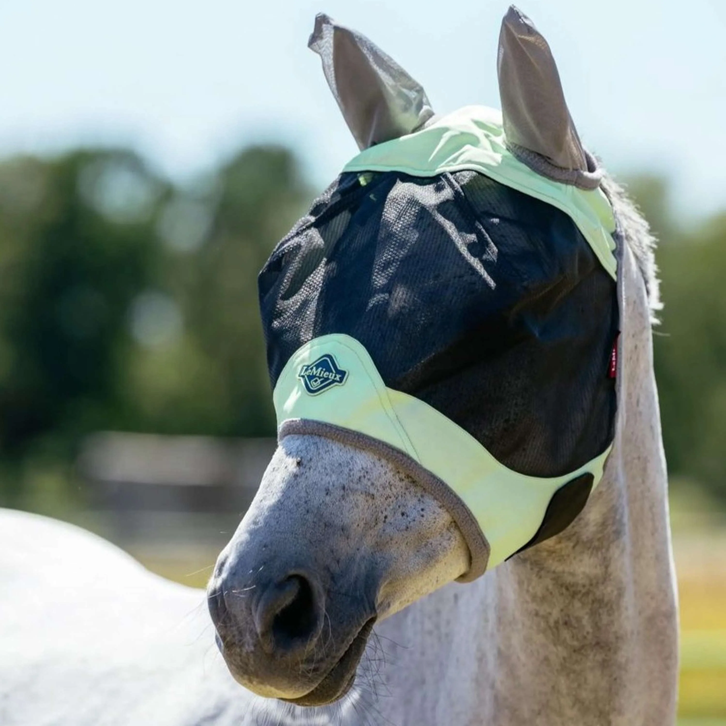 LeMieux Masque Anti-Mouches Visor-Tek Macaron