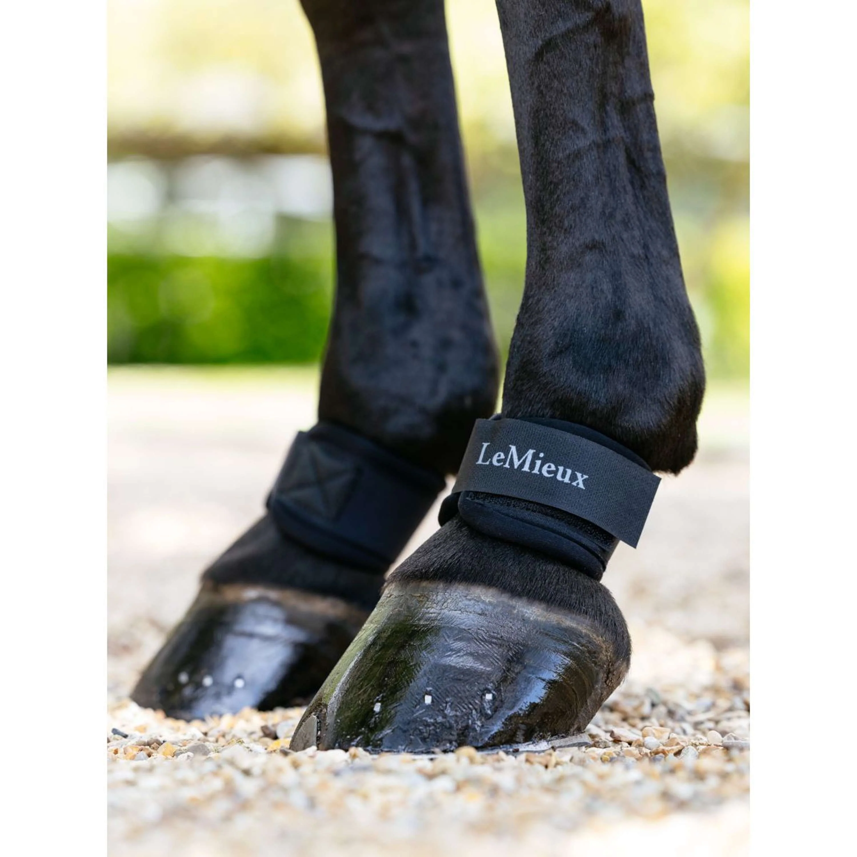 LeMieux Protège-Paturon Neoprene Noir