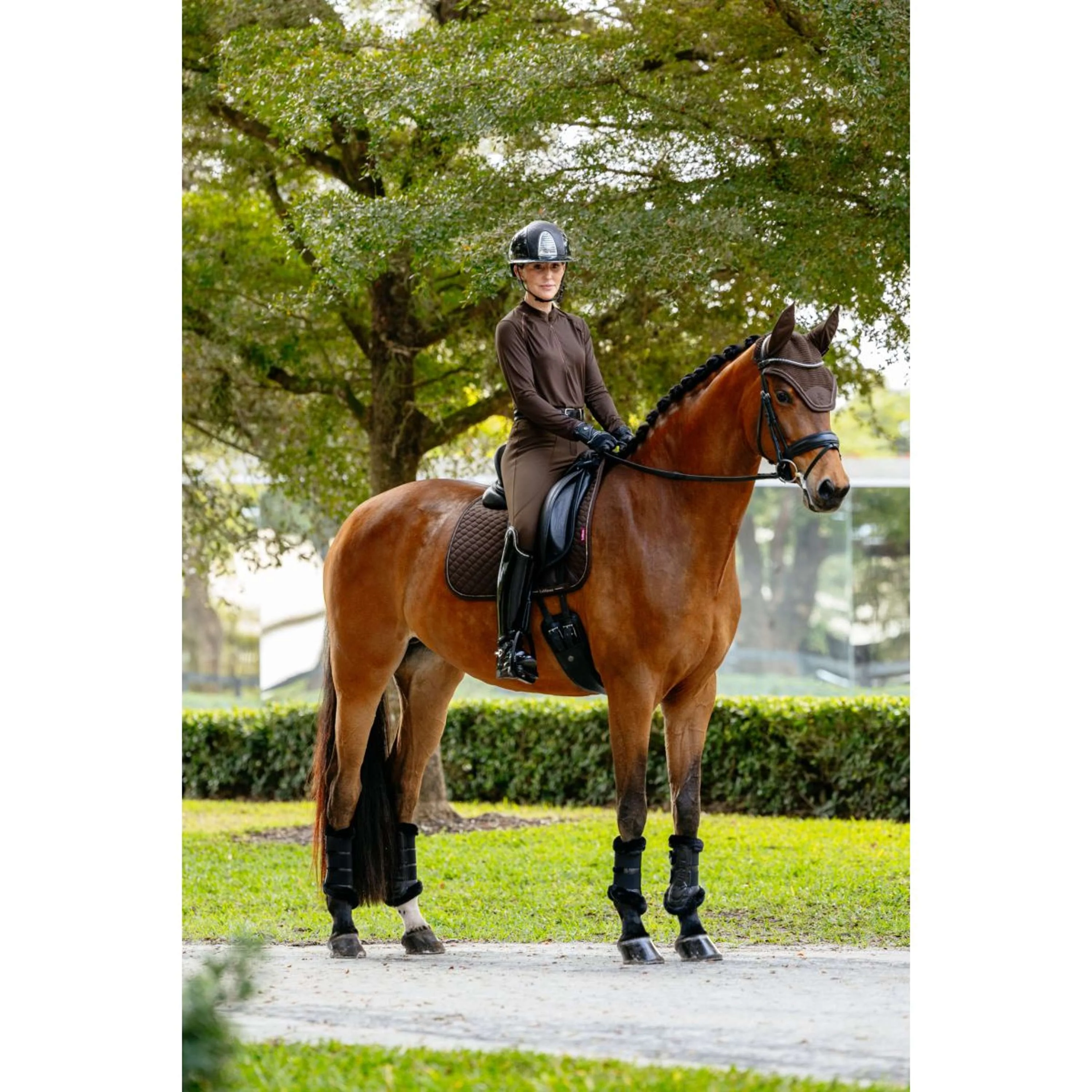 LeMieux Tapis de Selle Brilliance Dressage Espresso - Image 2