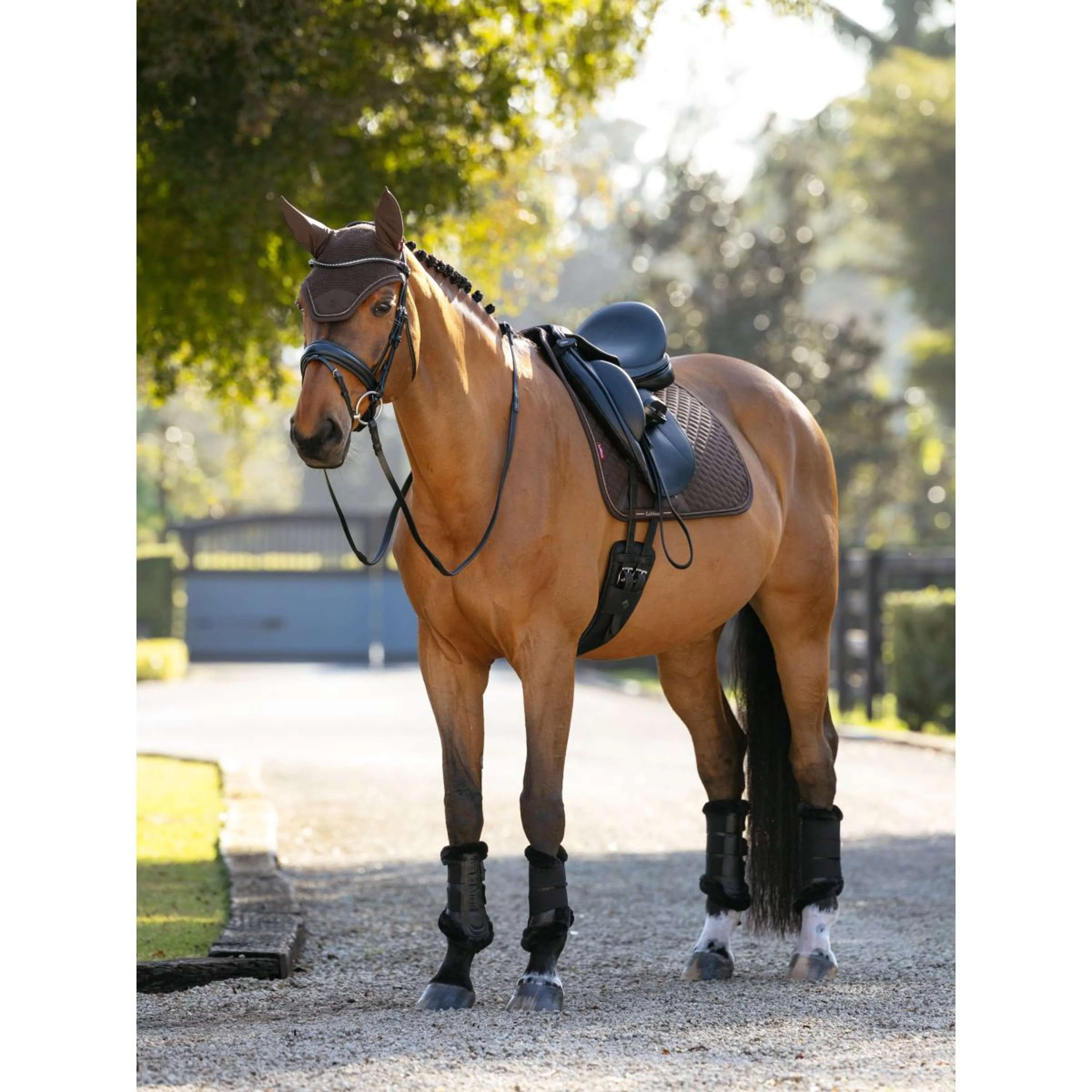 LeMieux Tapis de Selle Brilliance Dressage Espresso - Image 4