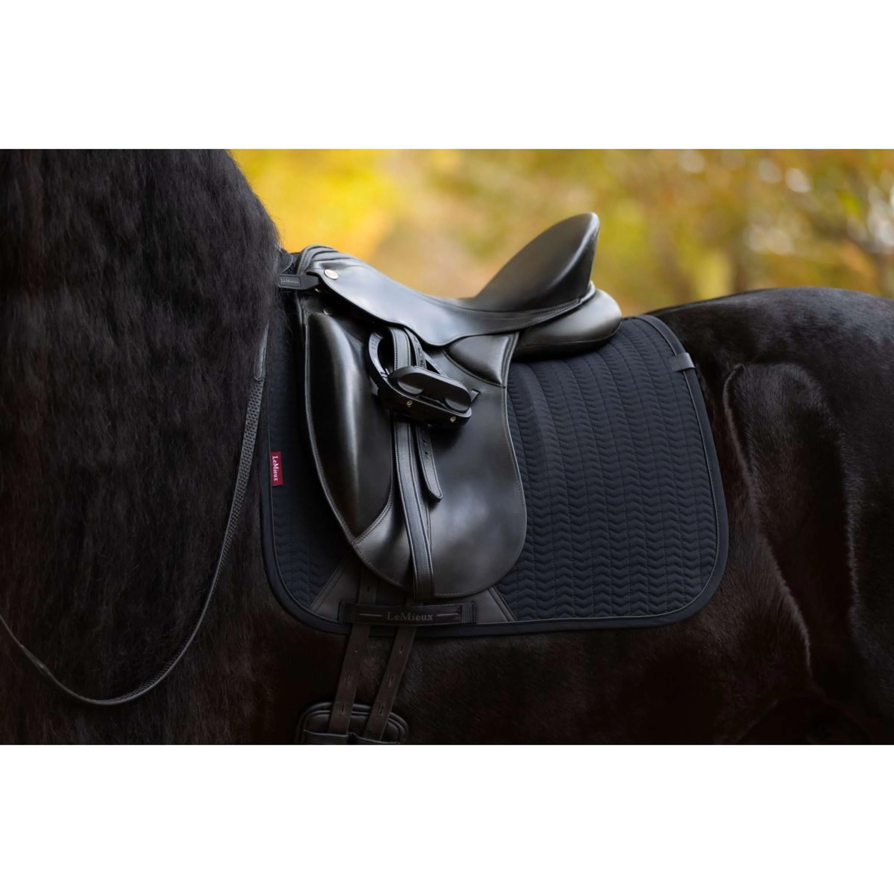 LeMieux Tapis de Selle Essence Dressage Noir - Image 13