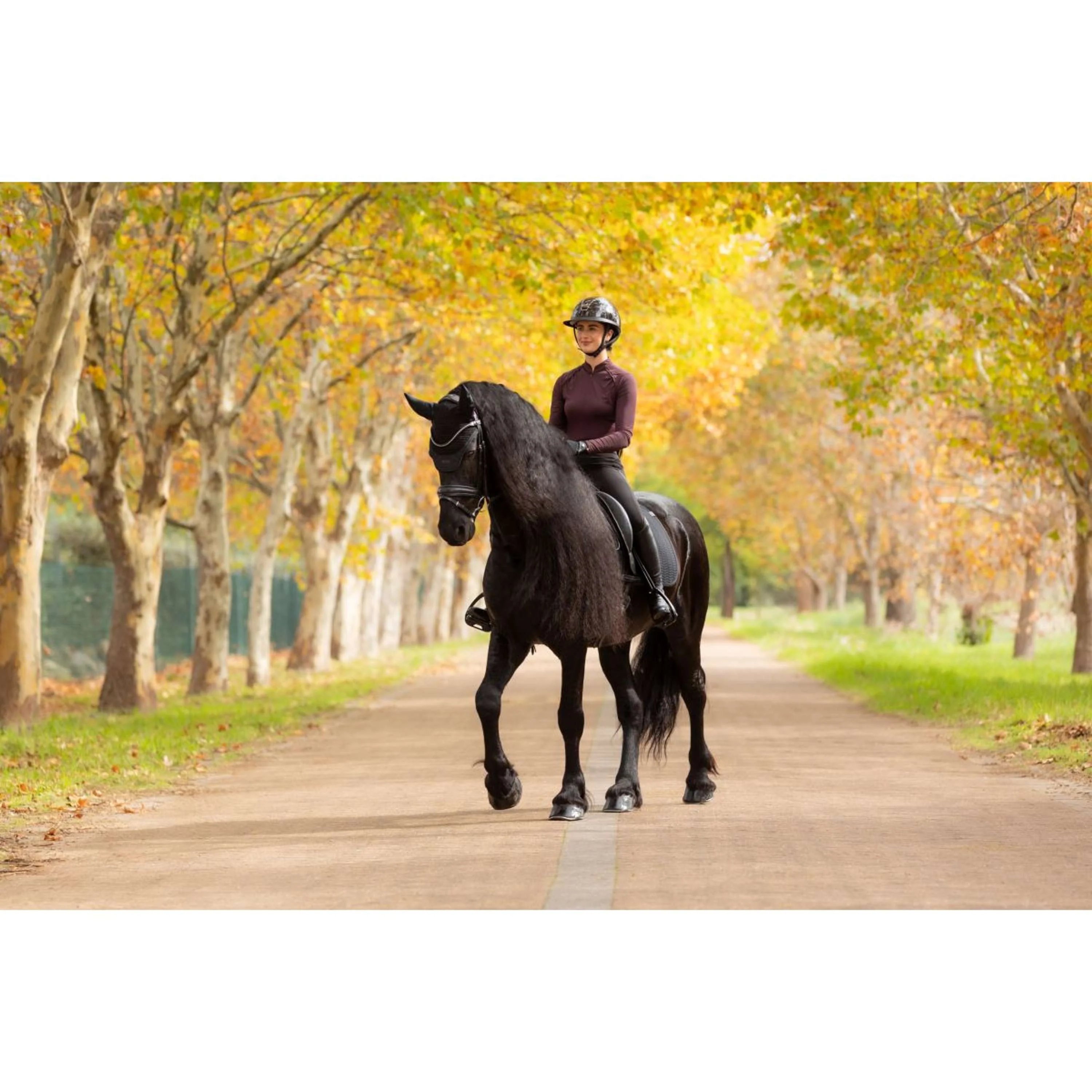LeMieux Tapis de Selle Essence Dressage Noir - Image 2