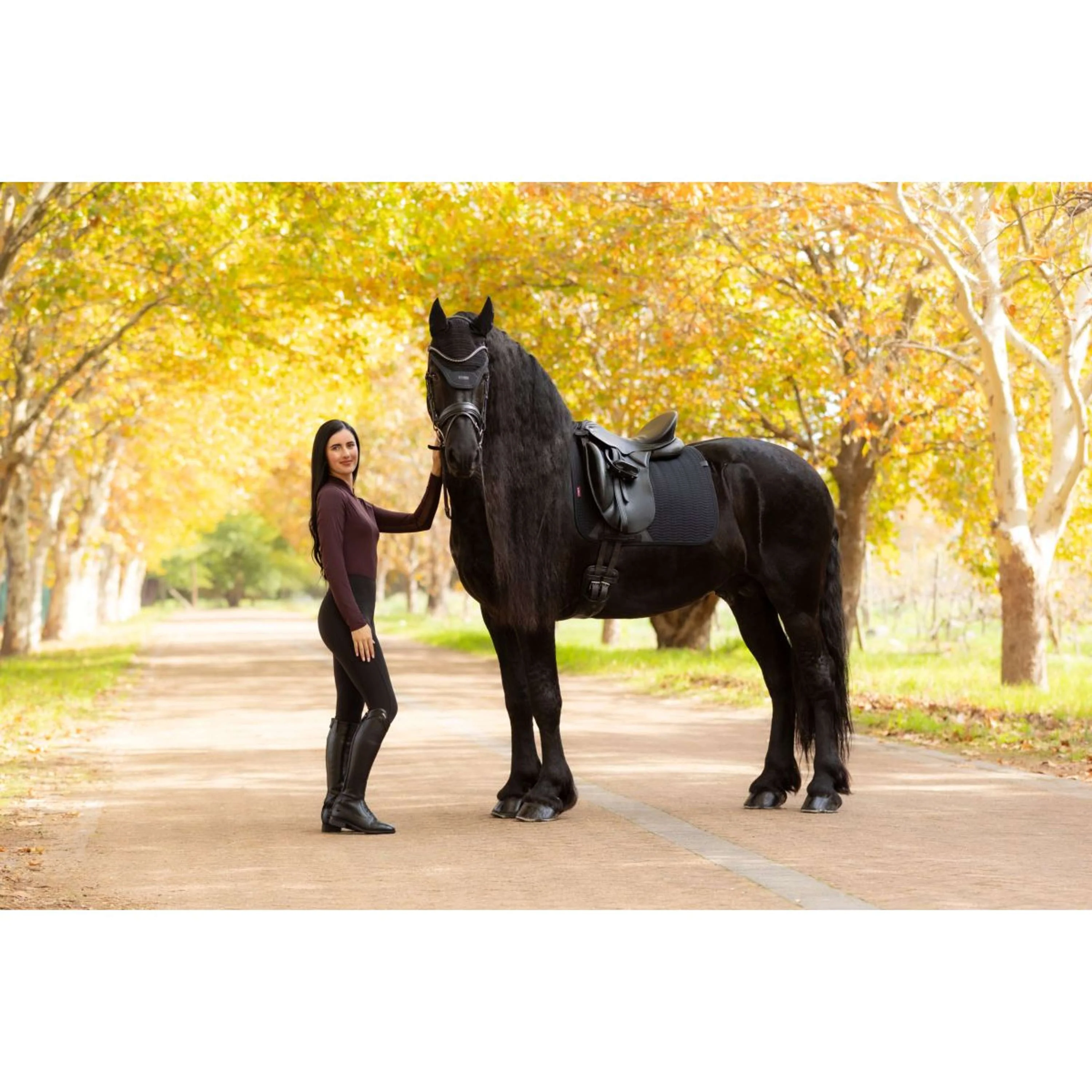 LeMieux Tapis de Selle Essence Dressage Noir - Image 5