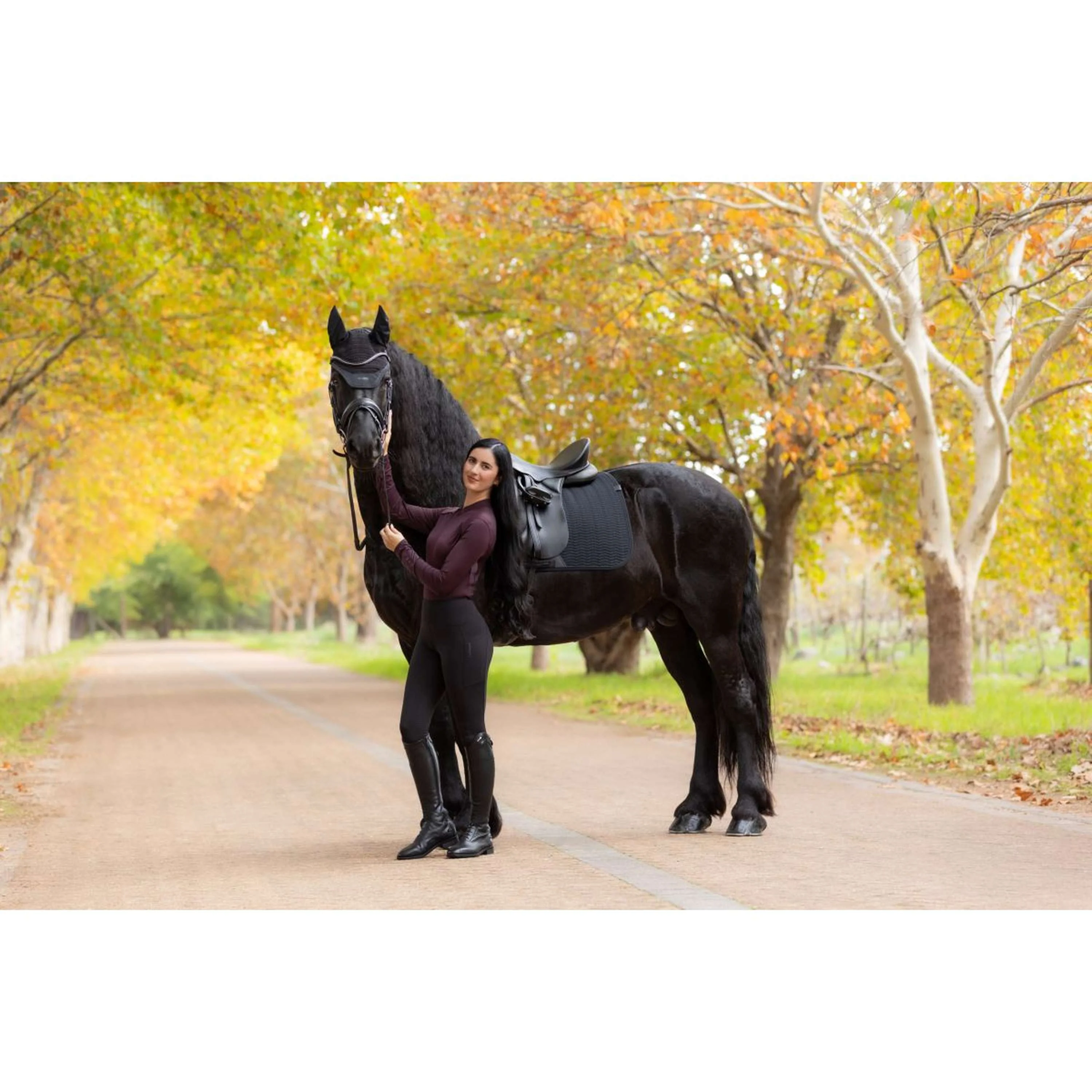LeMieux Tapis de Selle Essence Dressage Noir - Image 7