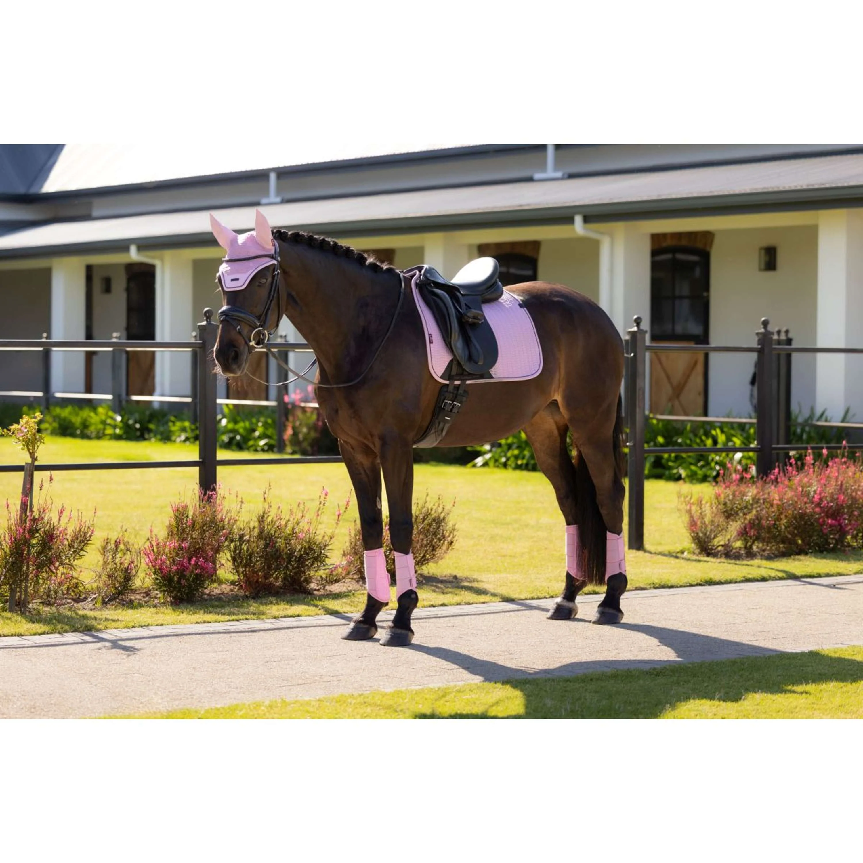 LeMieux Tapis de Selle Essence Square Dressage Fondant - Image 4