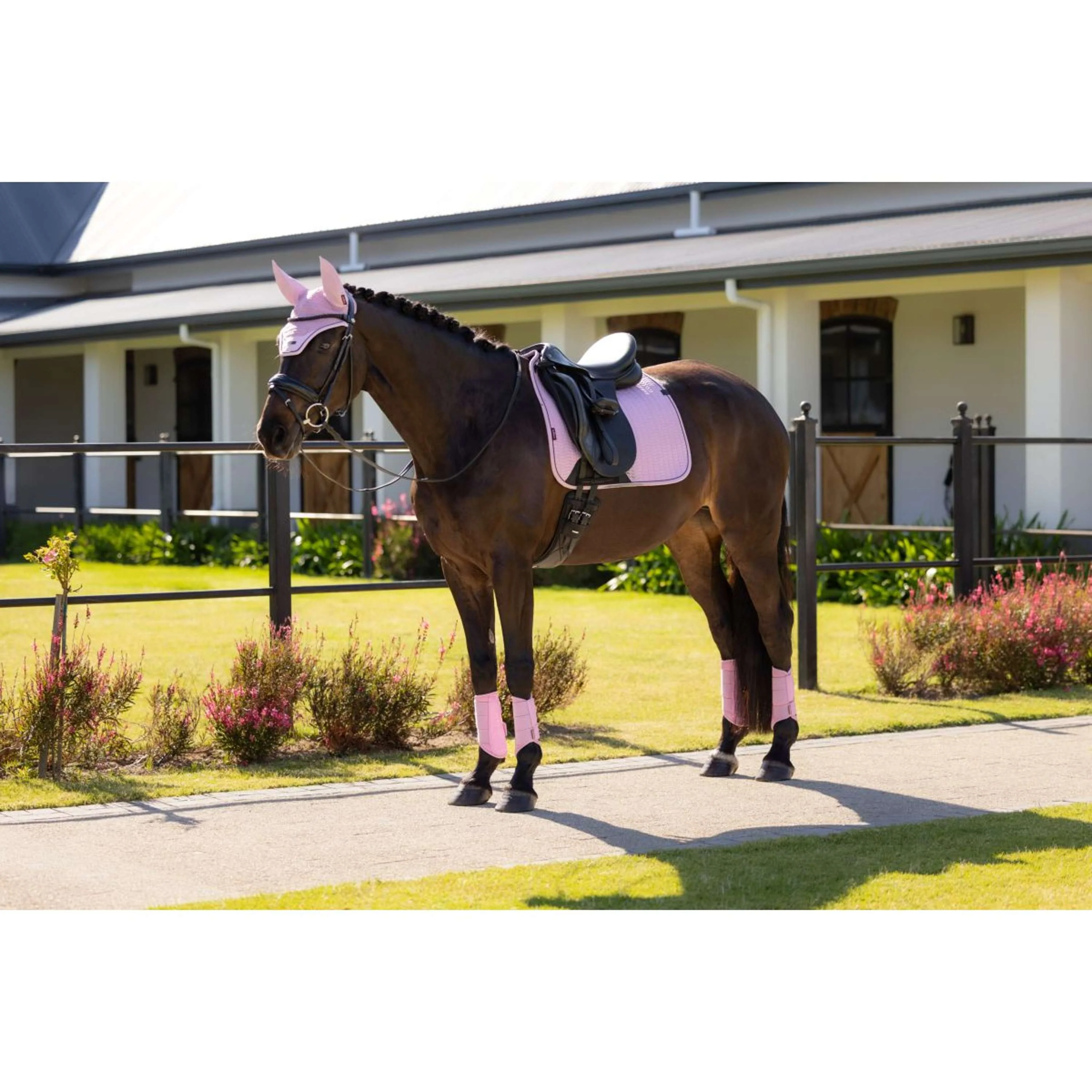 LeMieux Tapis de Selle Essence Square Dressage Fondant - Image 5