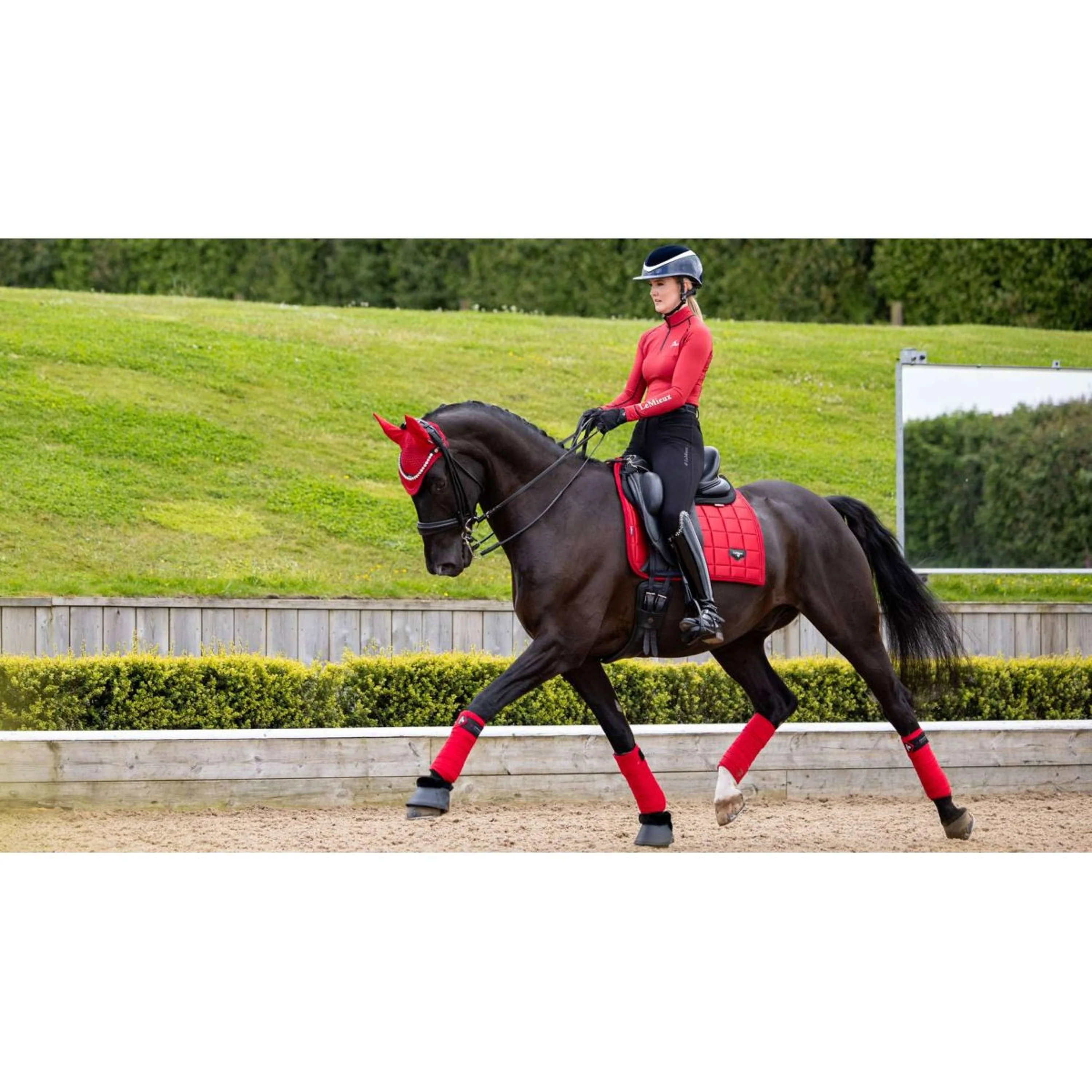 LeMieux Tapis de Selle Loire Dressage Chilli - Image 3