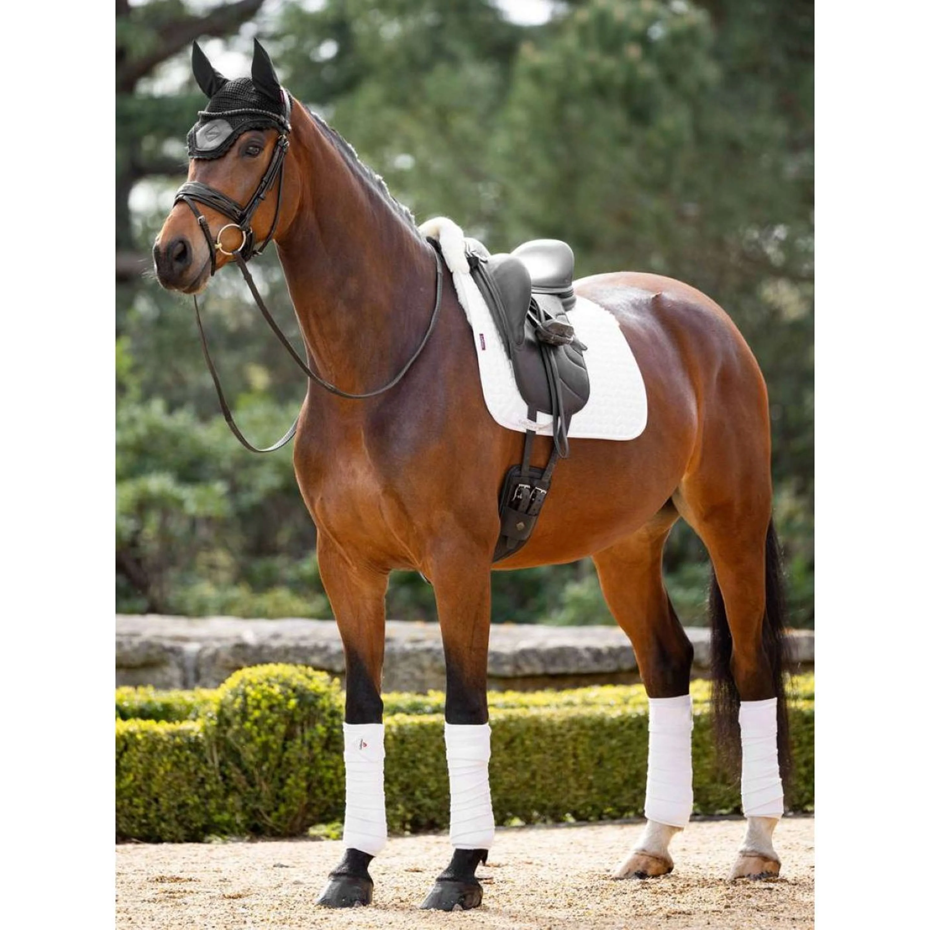 LeMieux Tapis de Selle ProLambs Square Half Lined Dressage Blanc/Naturel - Image 2